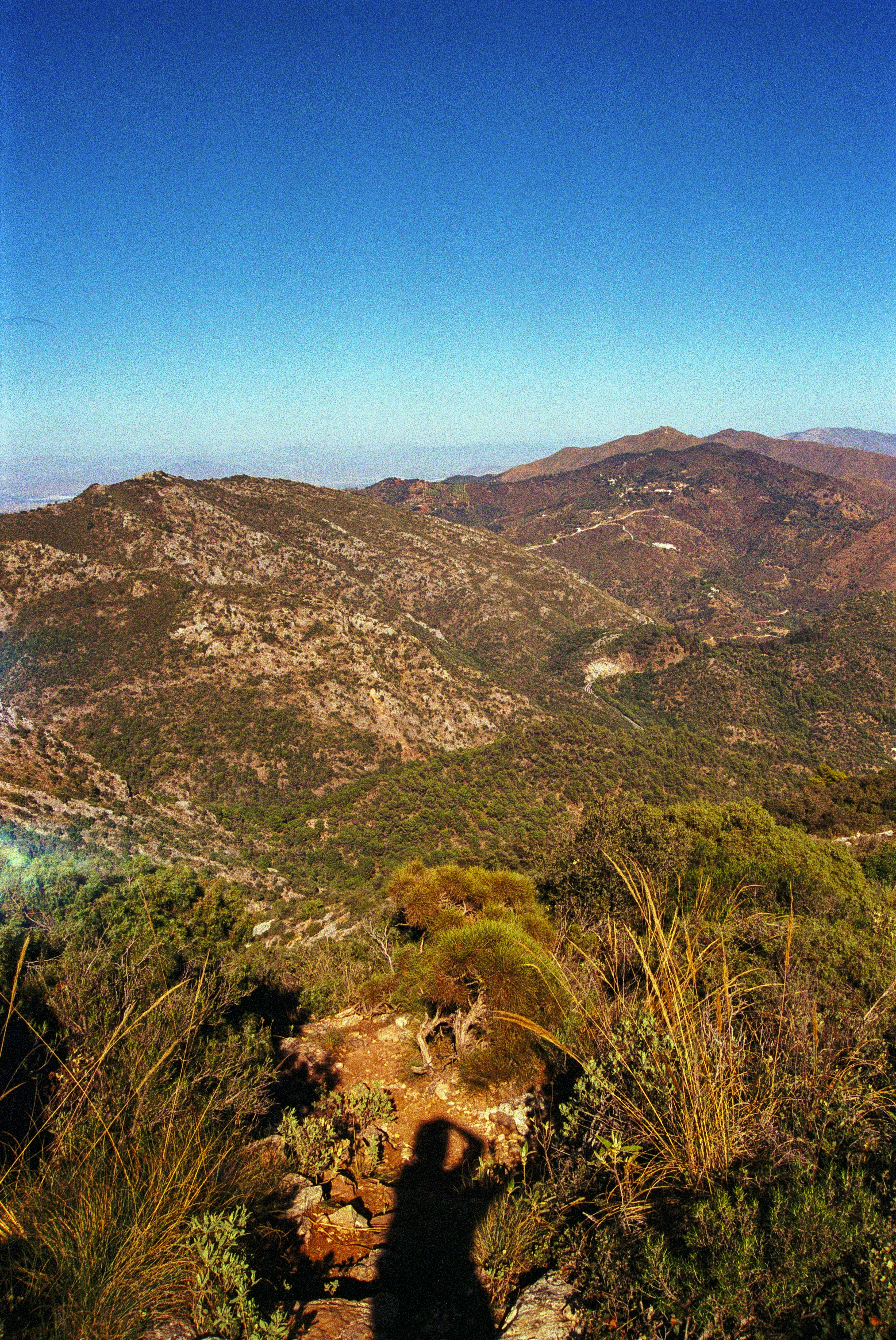 Photo by artistseyes