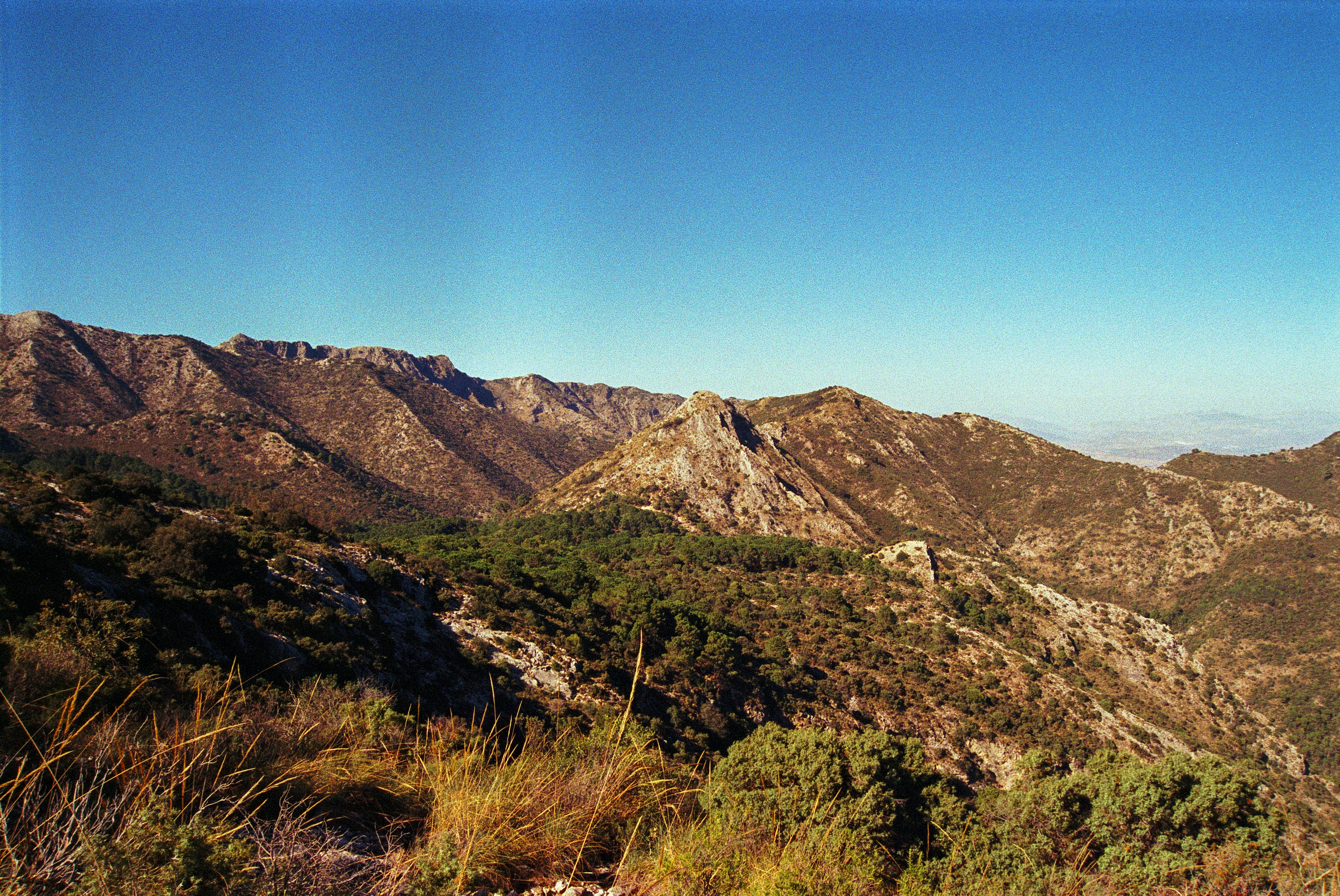 Photo by artistseyes