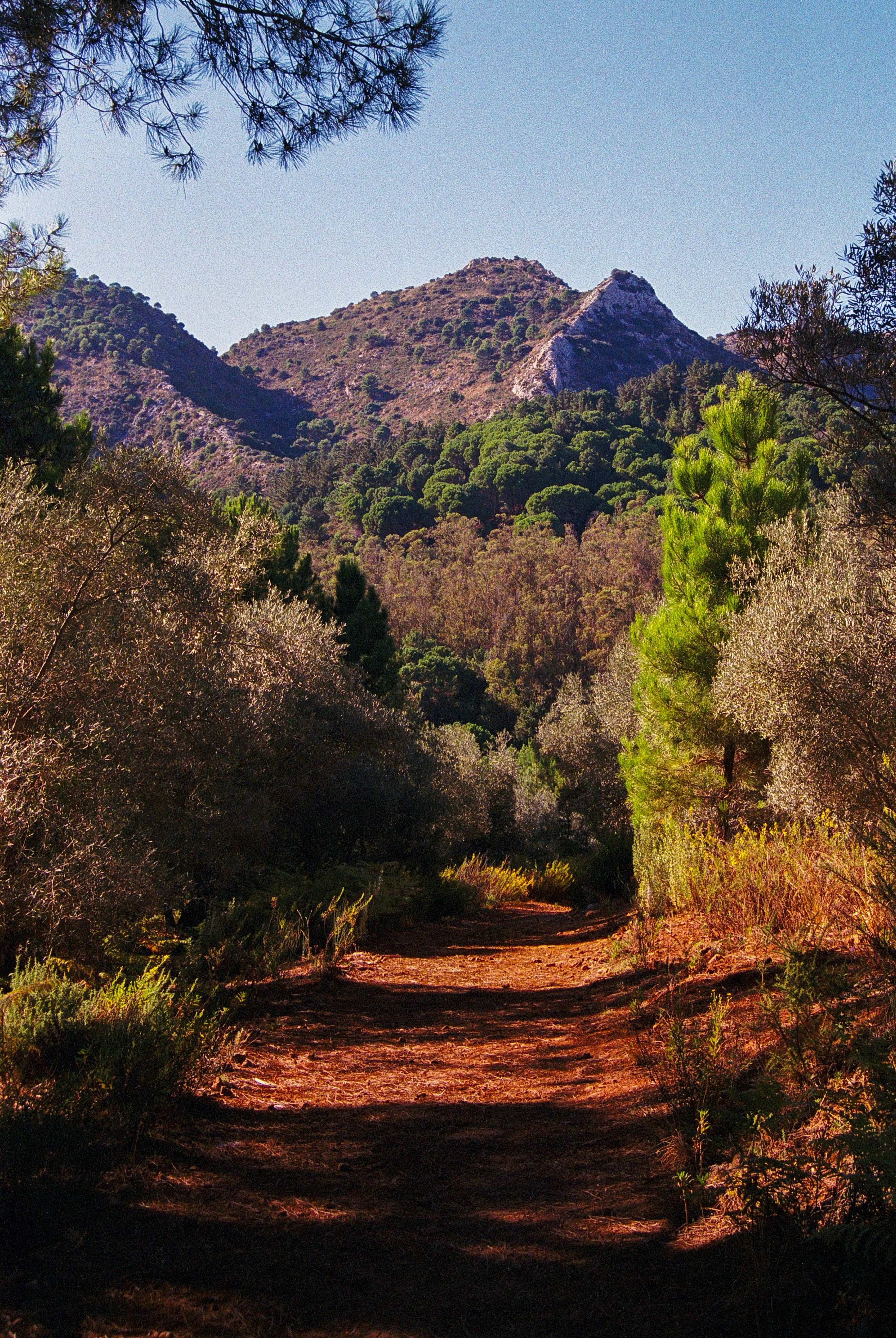 Photo by artistseyes