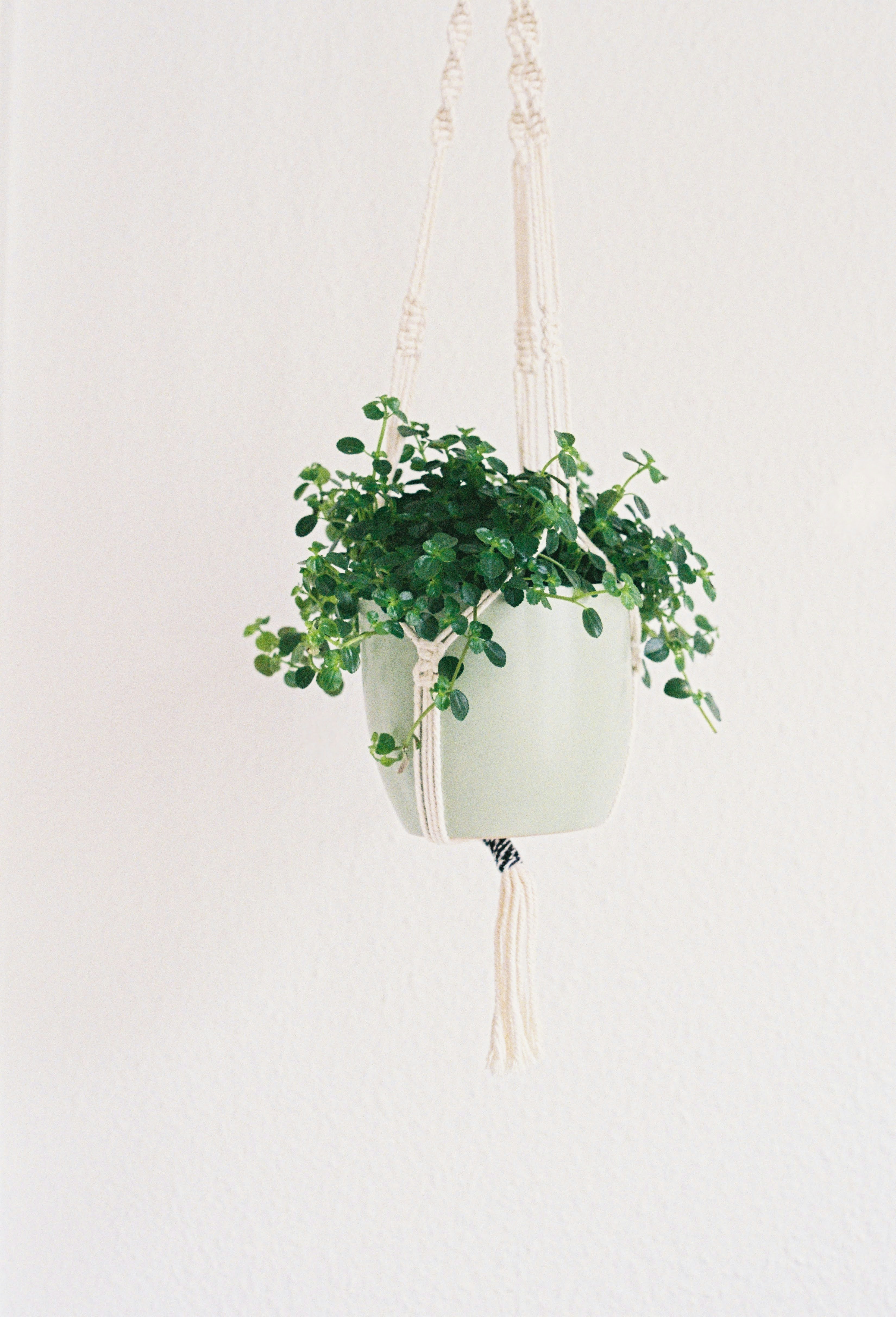 Photo by chrisvomradio