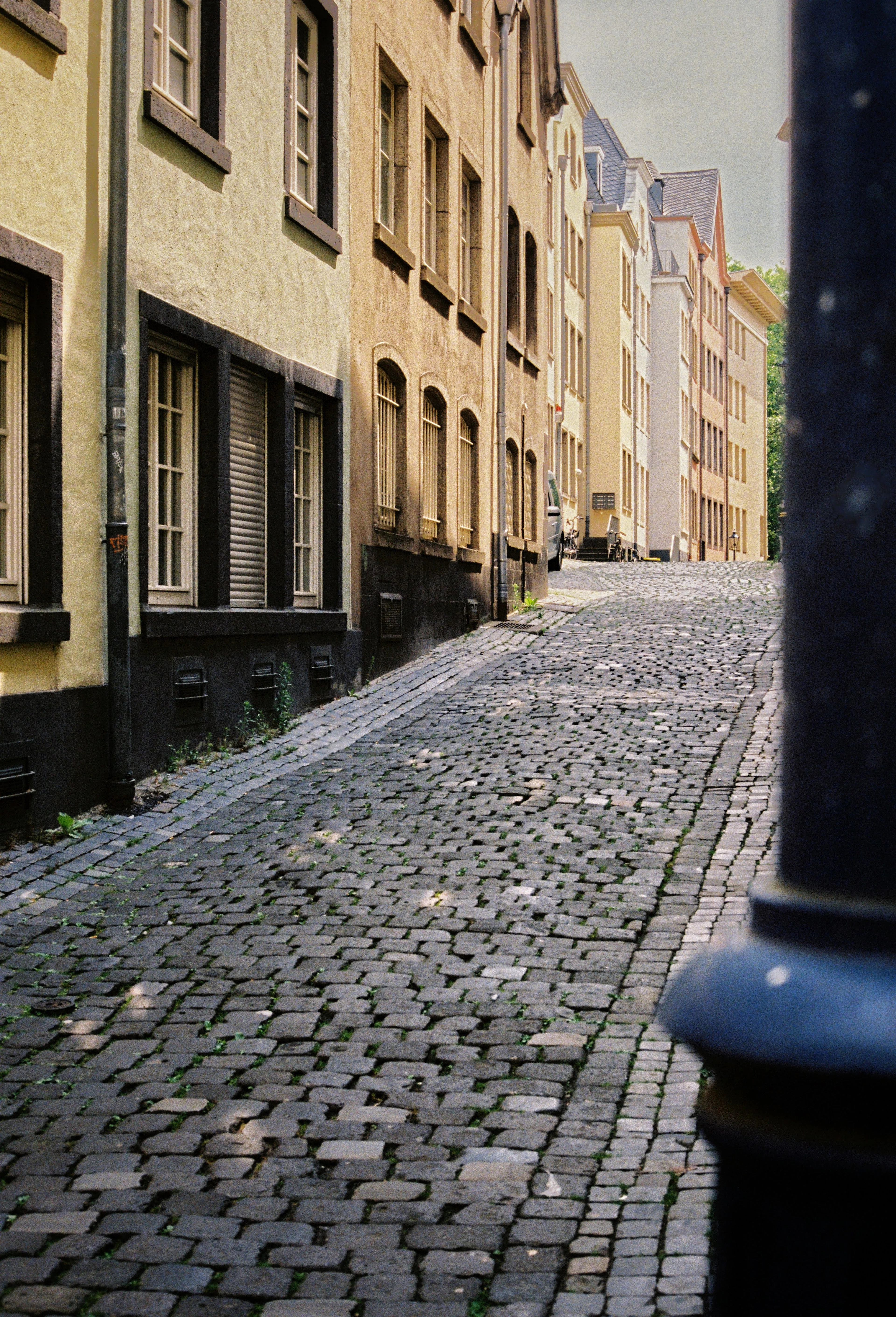 A quiet cobbled street in central Cologne curving away between tall ochre and cream townhouses, low afternoon sun catching the shutters and window frames and grass pushing up between the setts.