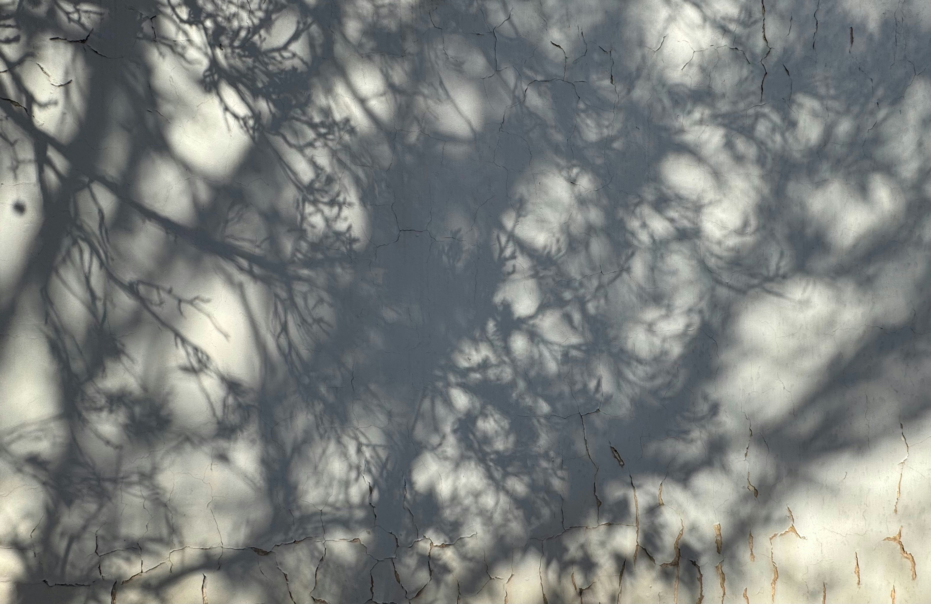 Photo by jonathanburger