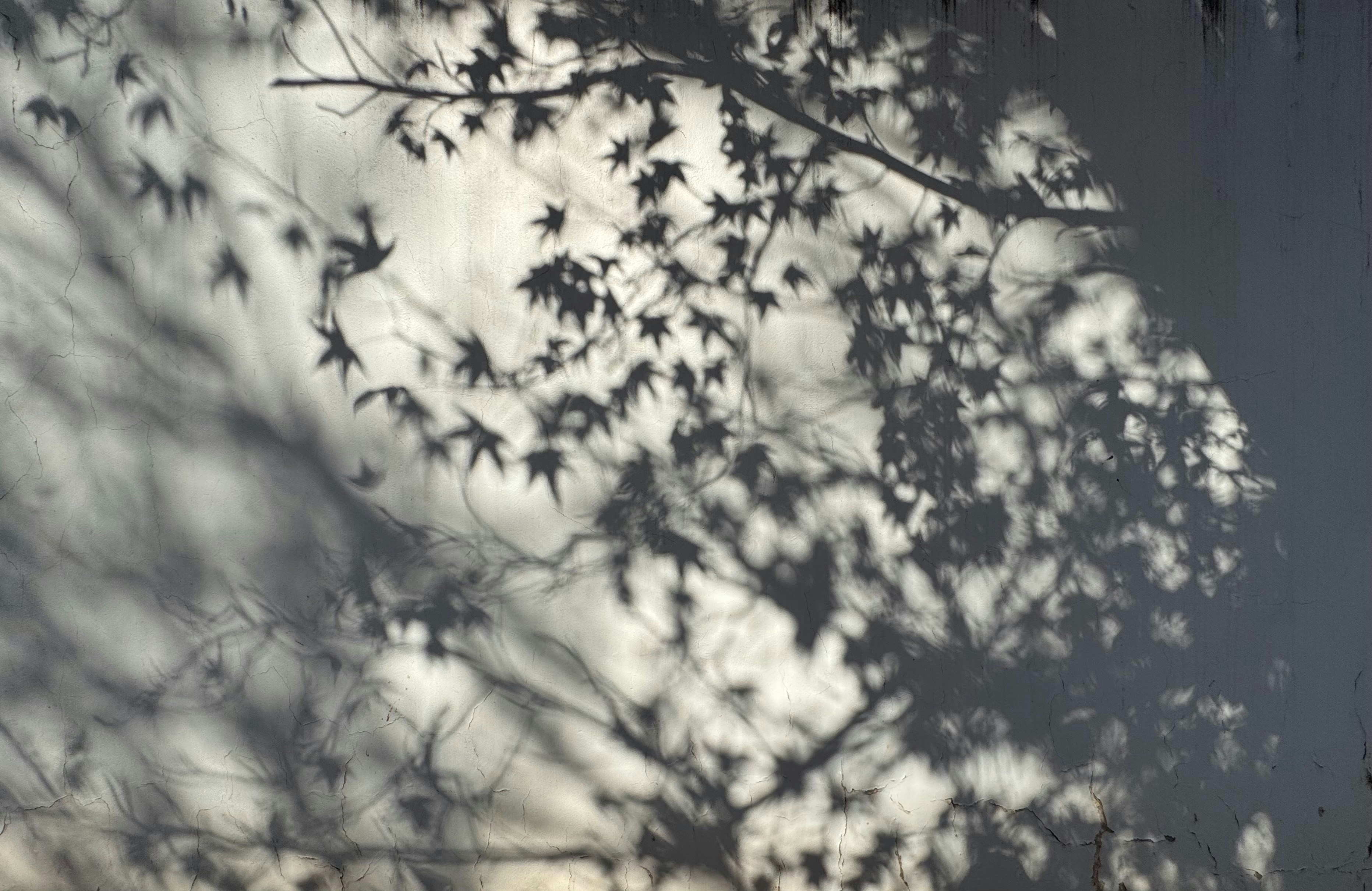 Key Medical Care For Senior Citizens Is Crucial For Maintaining Wellness In Later Years, Yet What Vital Facets Should You Await As You Browse Your Health And Wellness Journey? Uncover Extra Inside