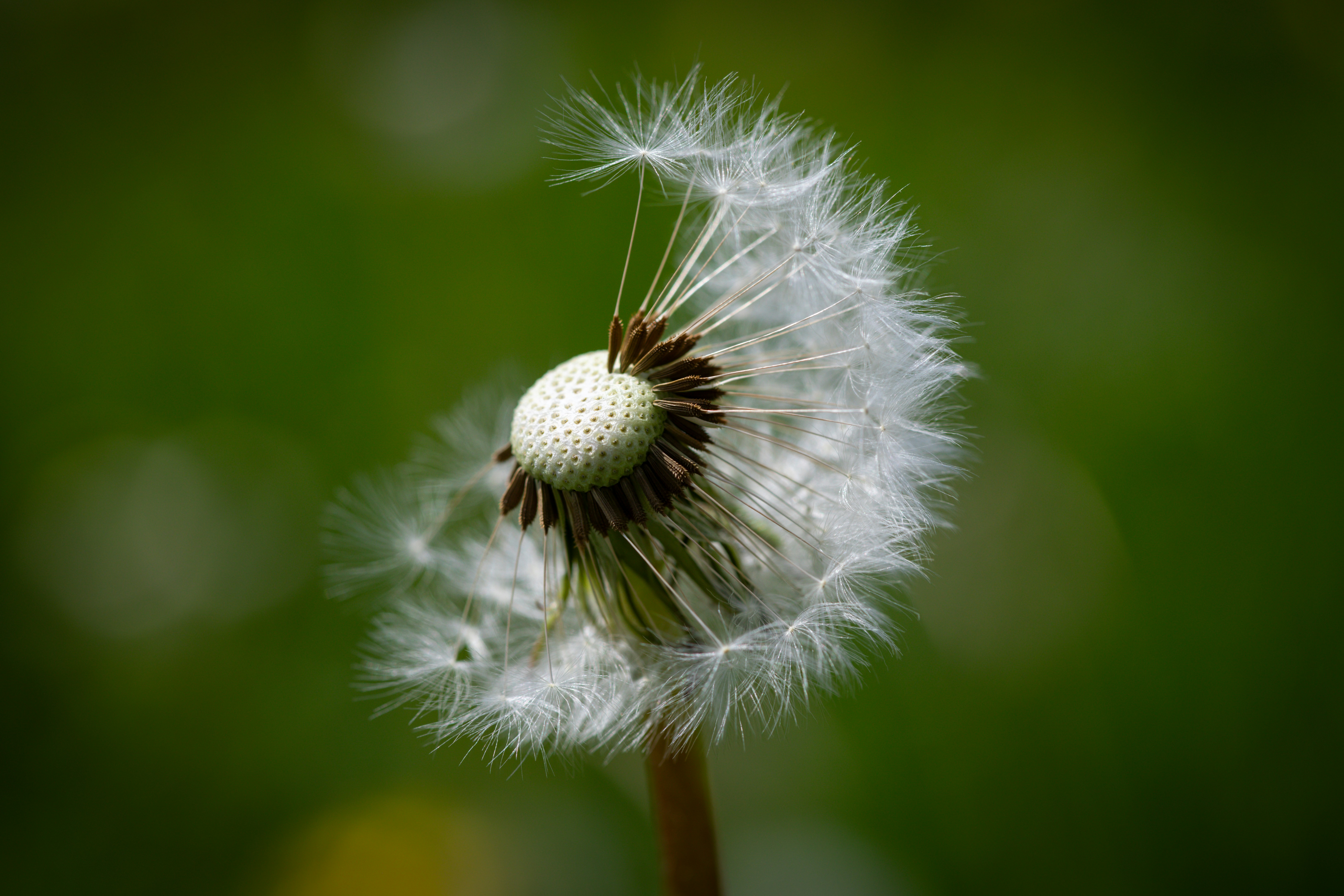 Photo by ferenccsullogcontemplative