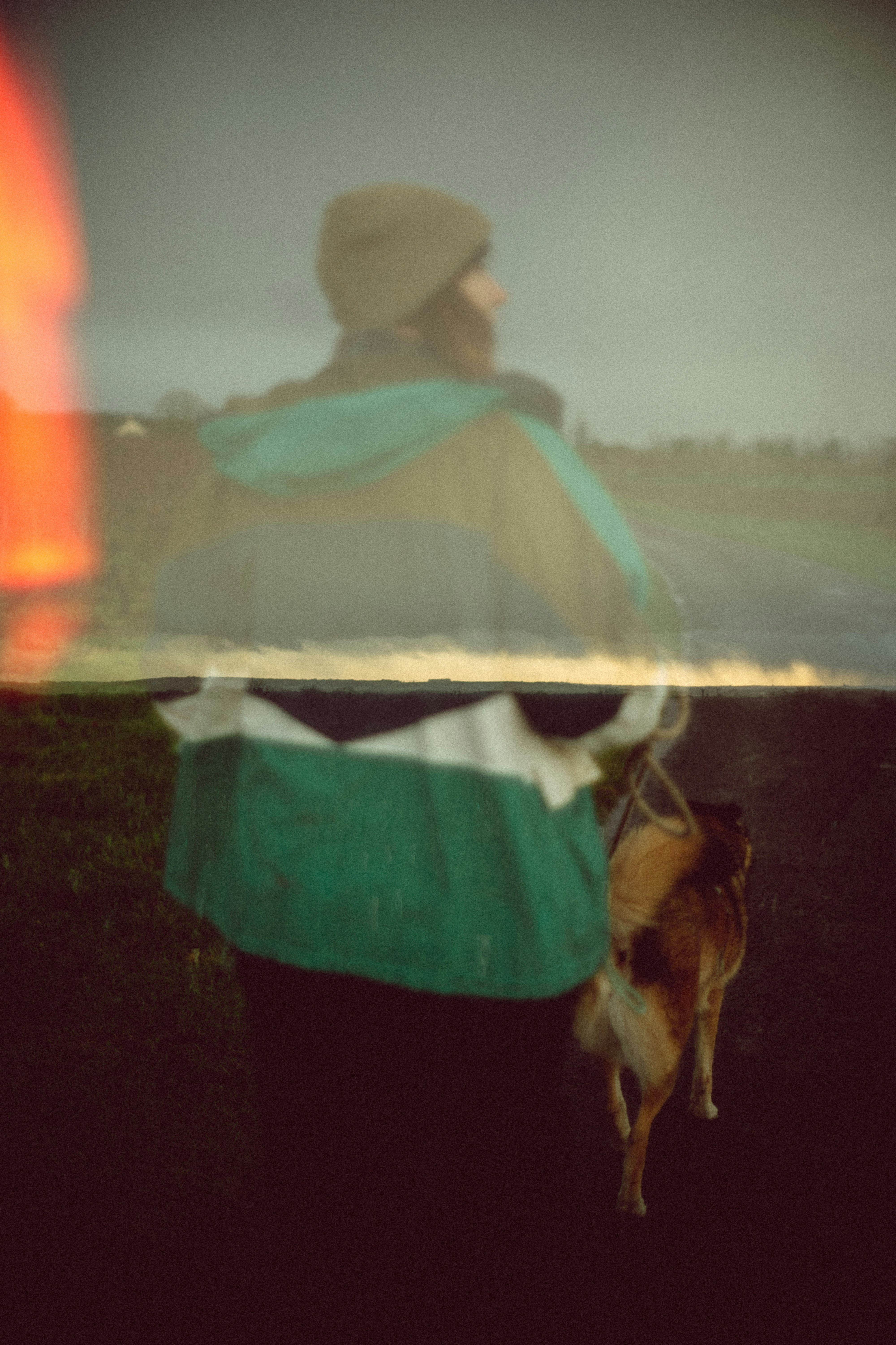 Person walks dog on a foggy, overcast day