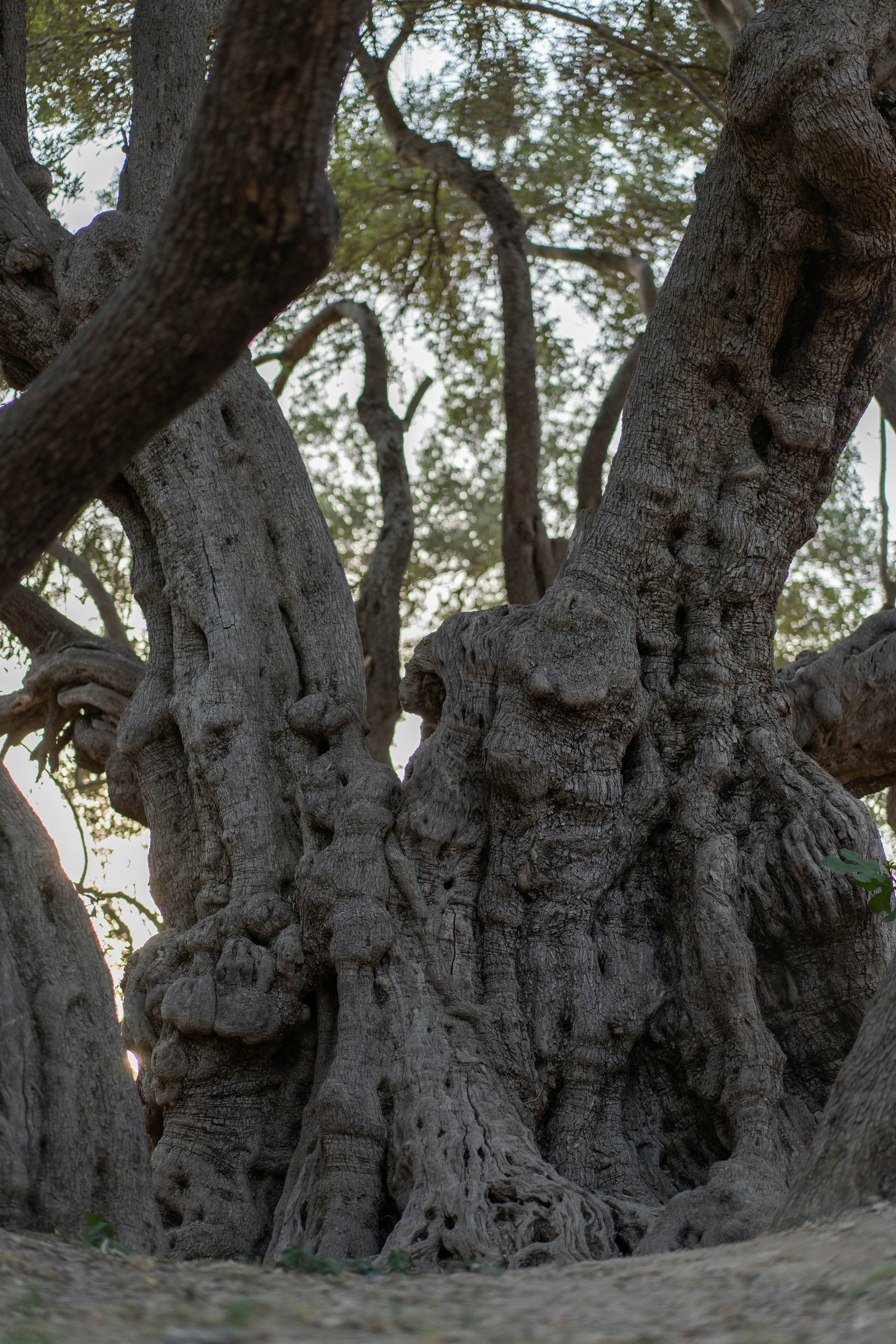 Photo by ahmadtalath