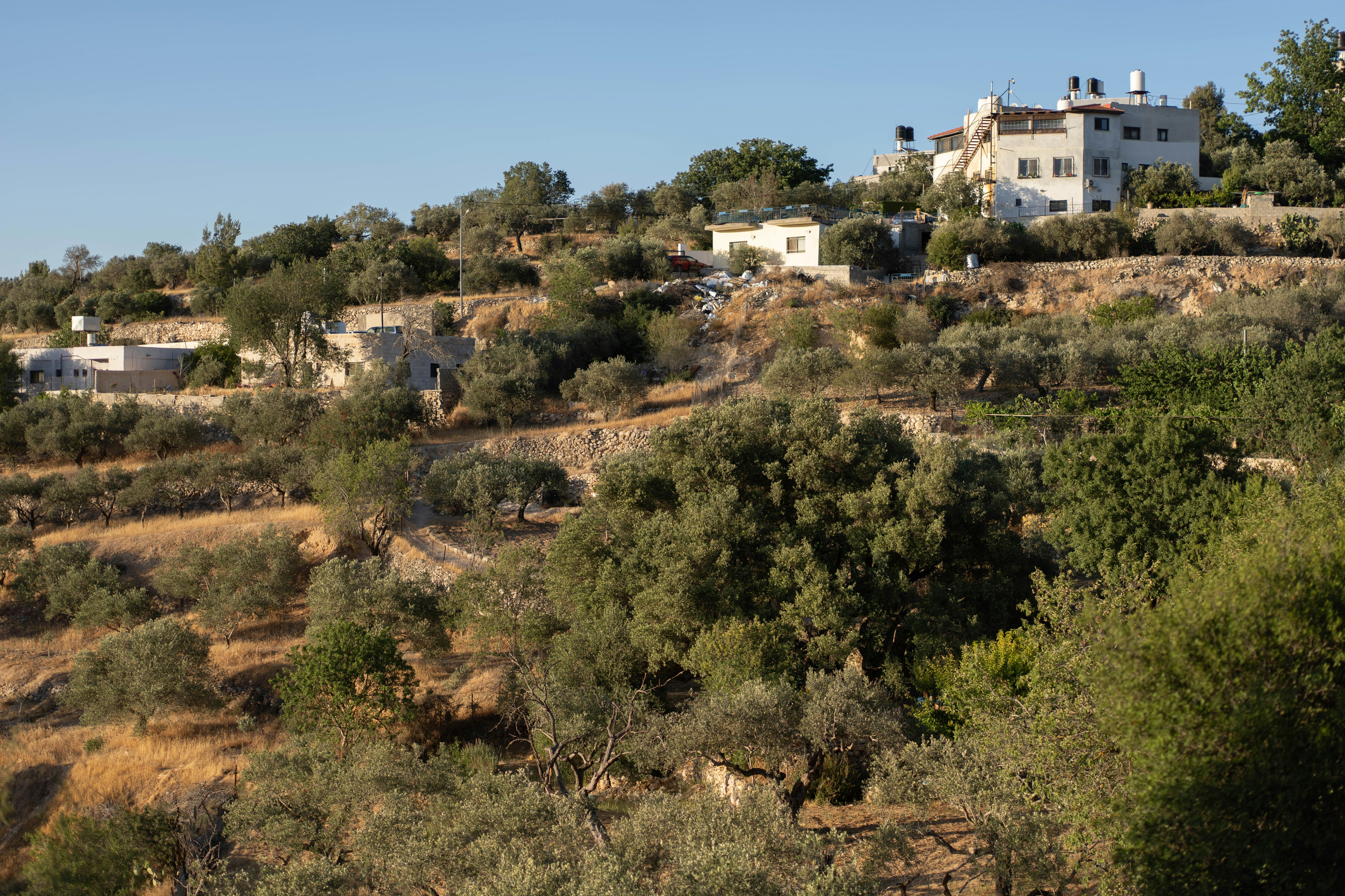 Photo by ahmadtalath