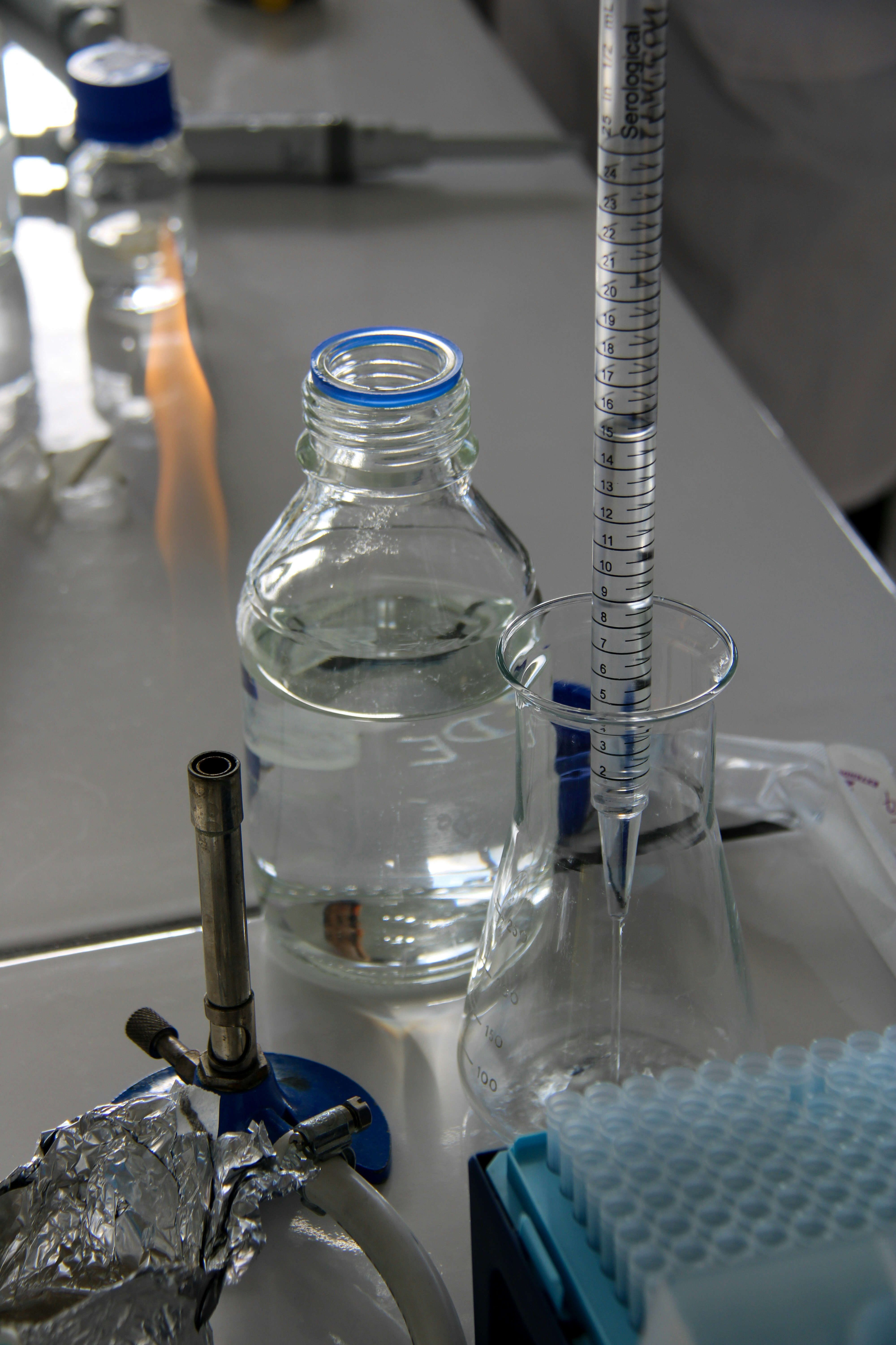 Biohacks That Align With Low-Oxalate Living