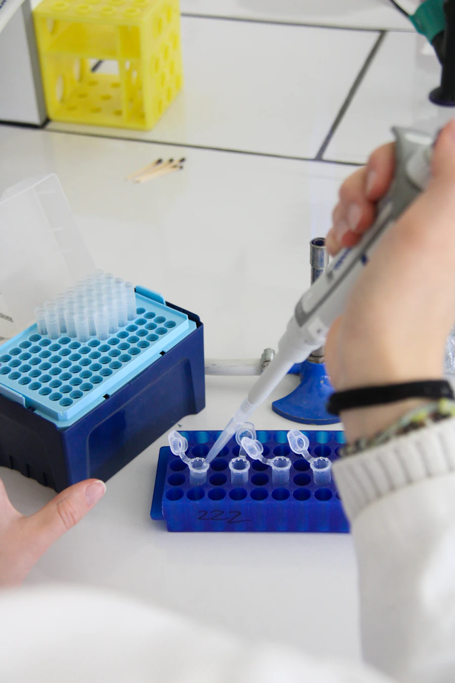 Scientist pipetting samples in a laboratory