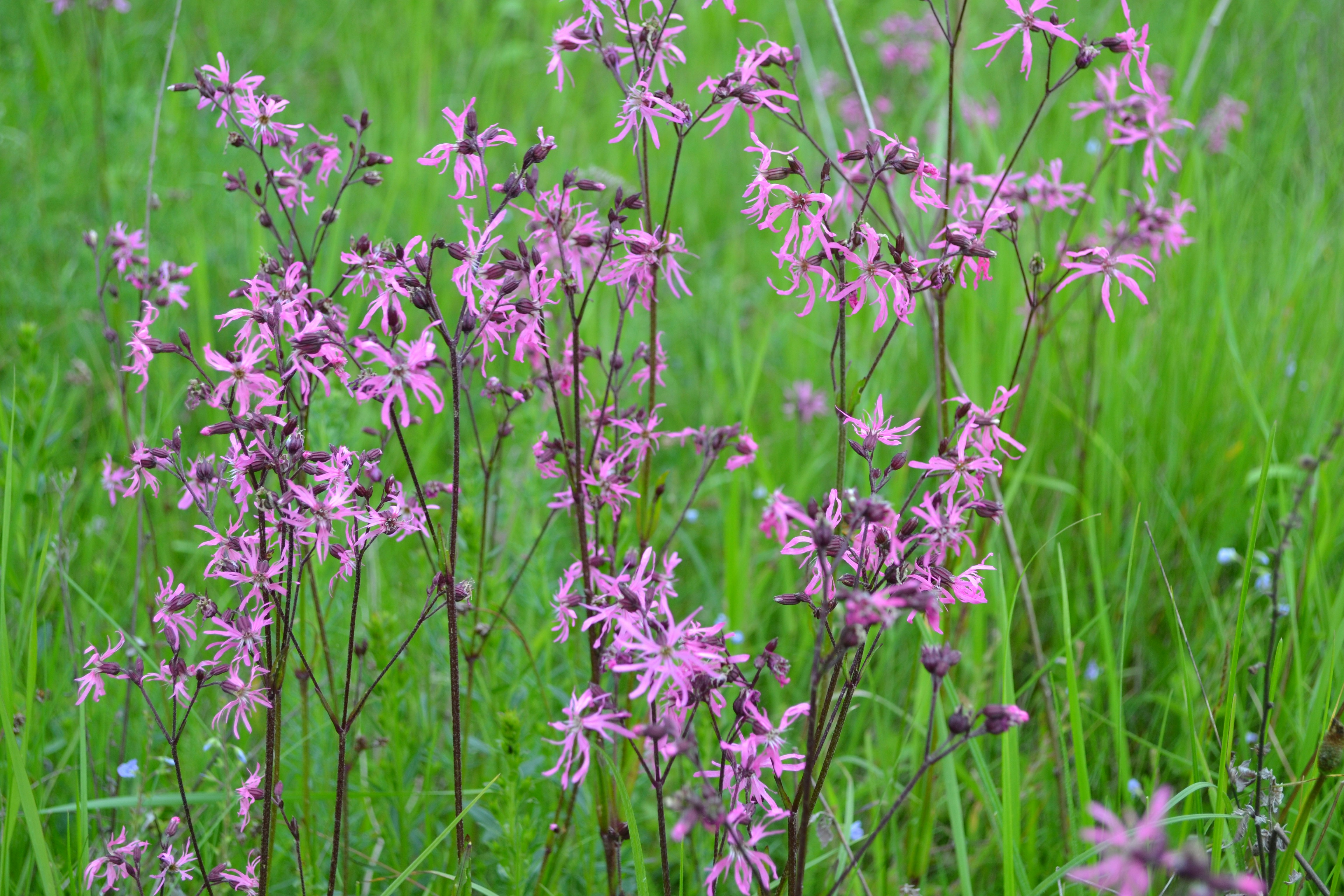 Photo by eugenegrunge