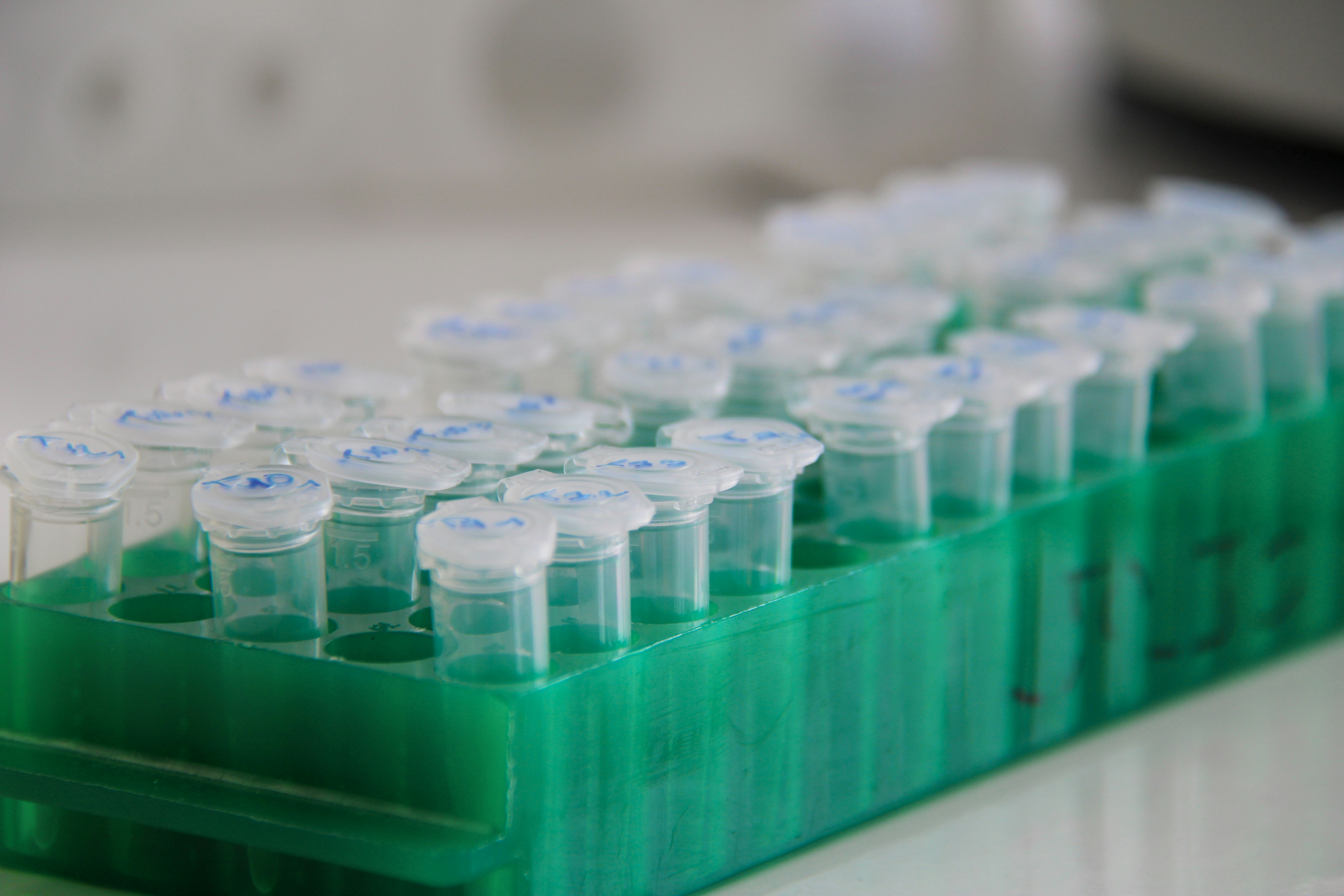 Scientific research with Eppendorf tubes