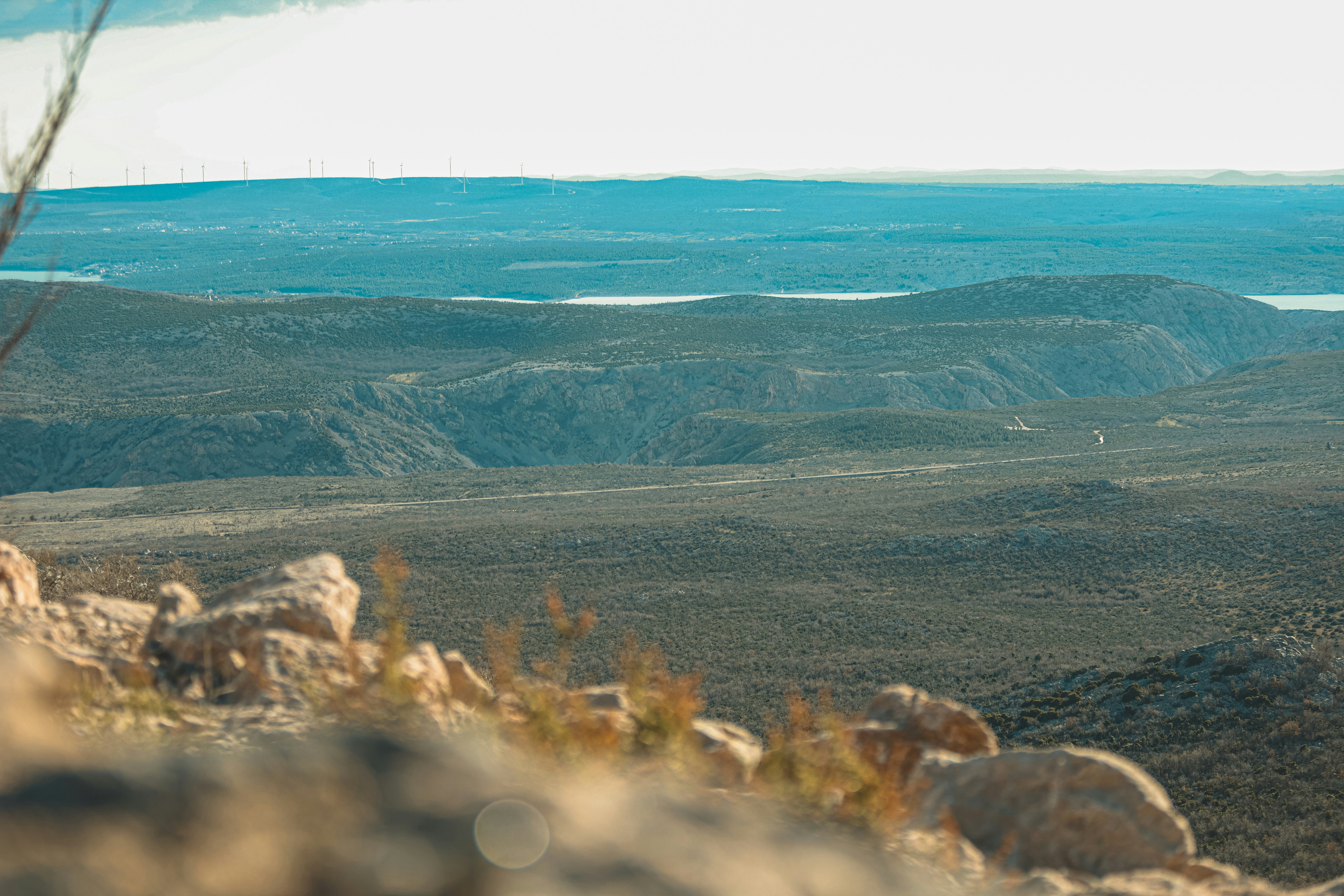 Photo by doeringphotograpy