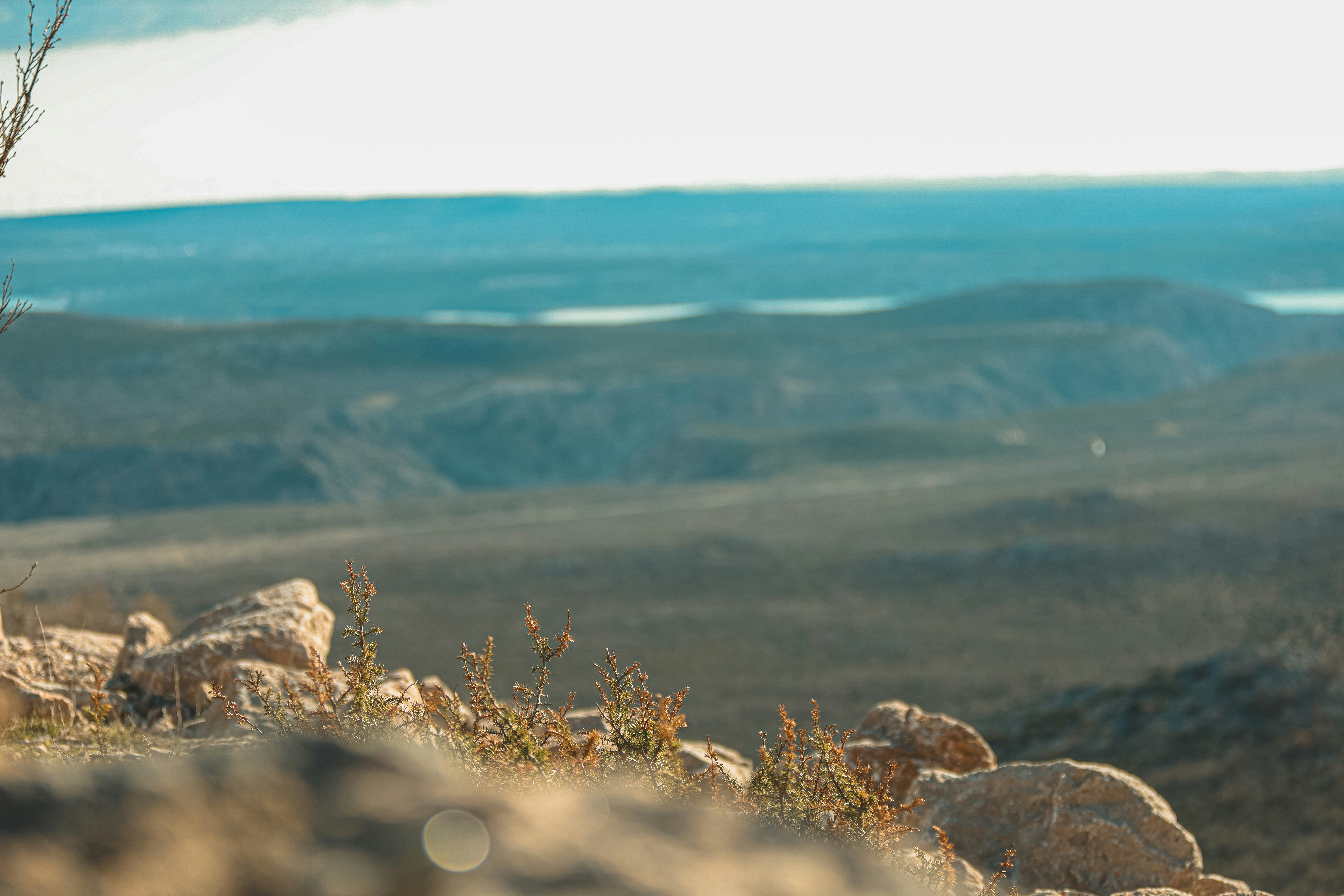 Photo by doeringphotograpy