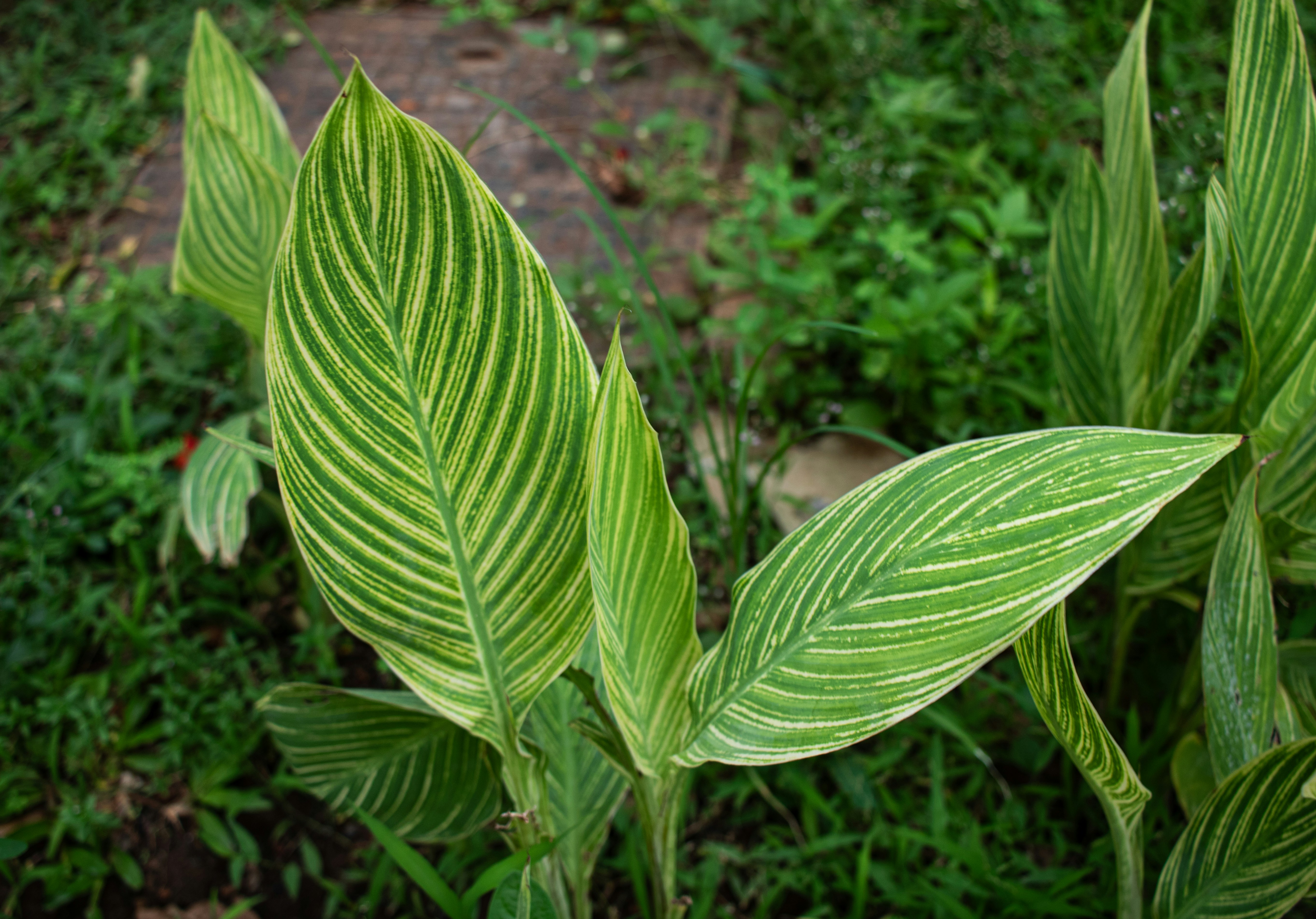 Photo by zoshuacolah