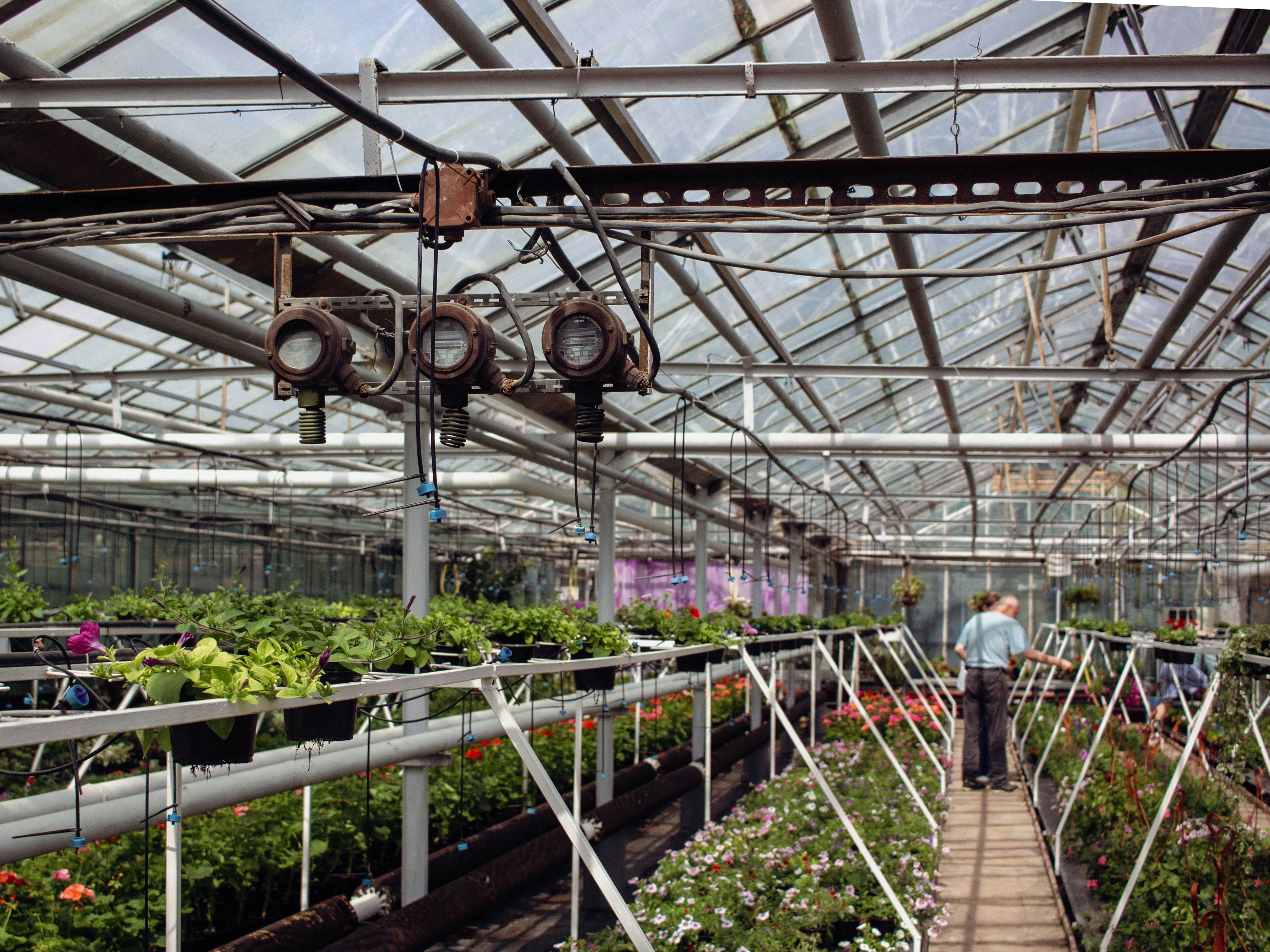 Photo by annie_smurova