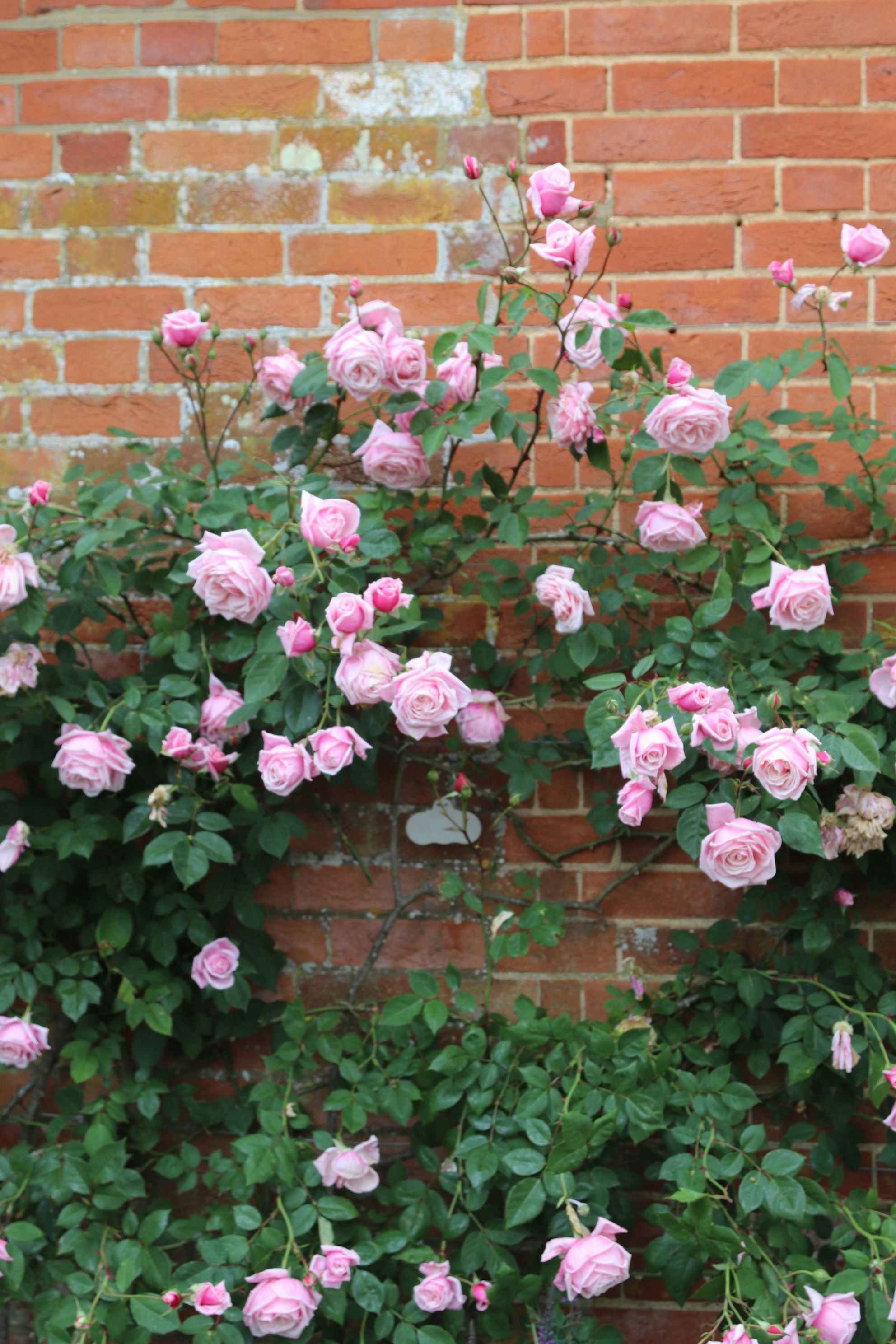 Photo by tanyabarrow