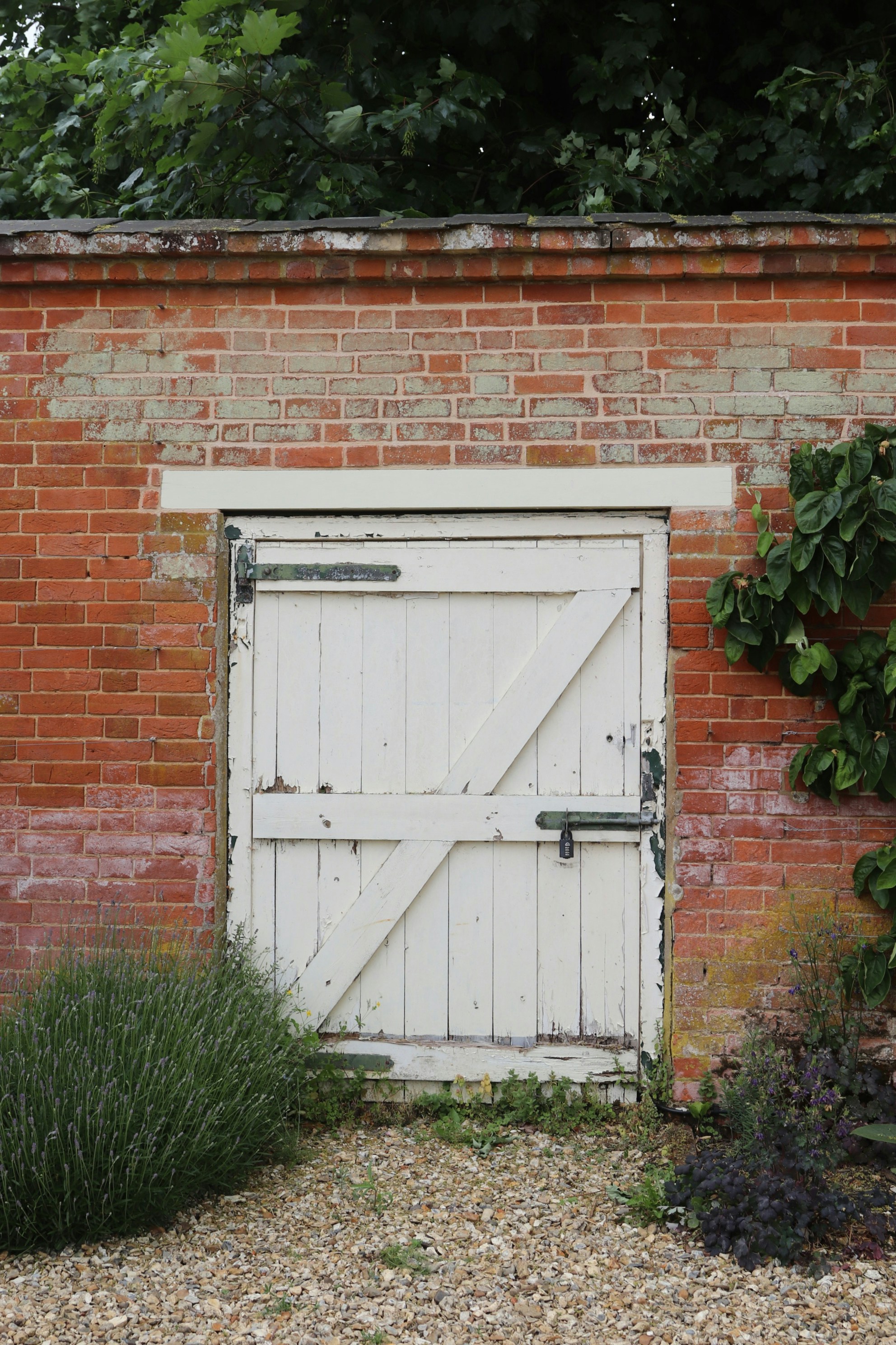 Photo by tanyabarrow