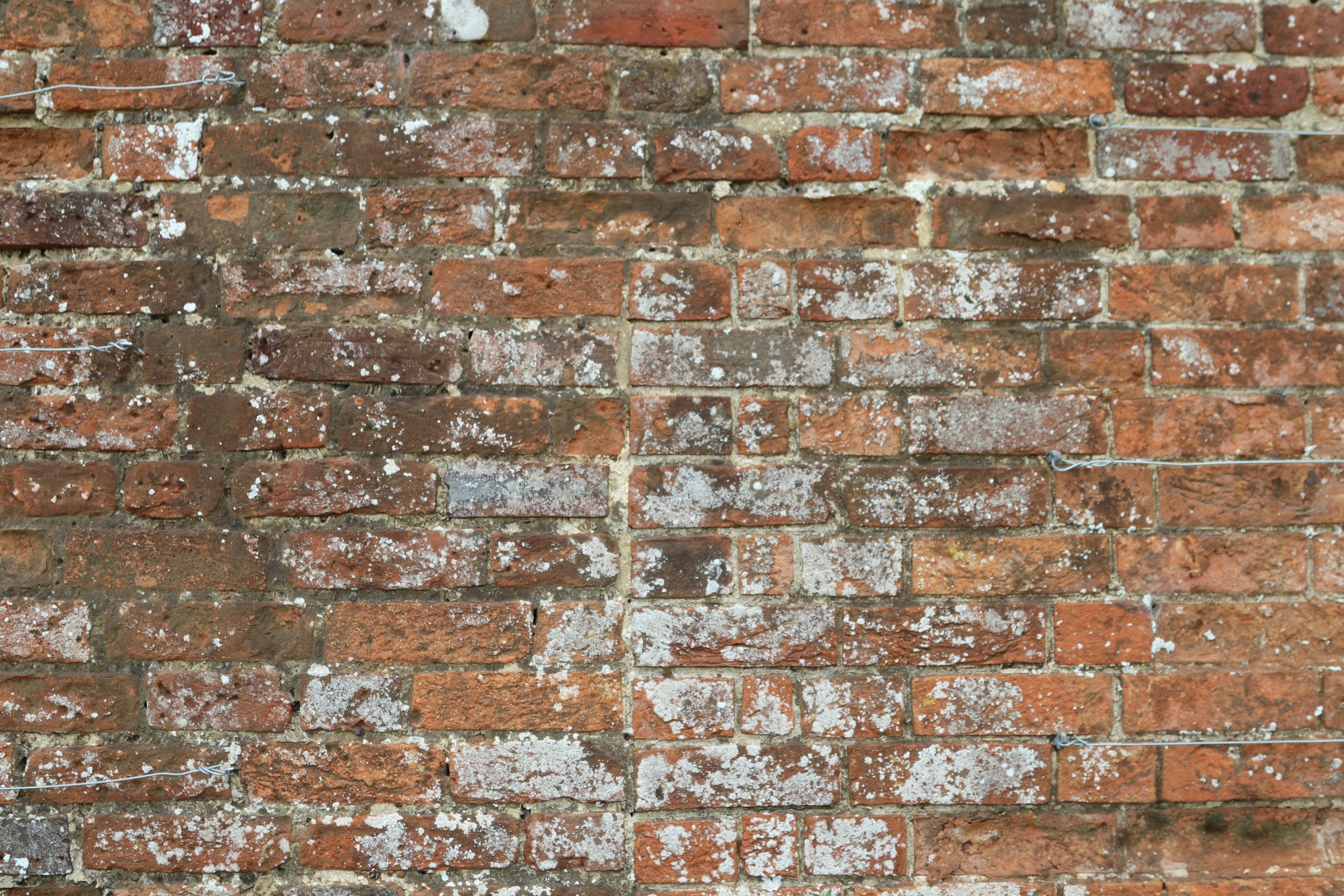 Photo by tanyabarrow