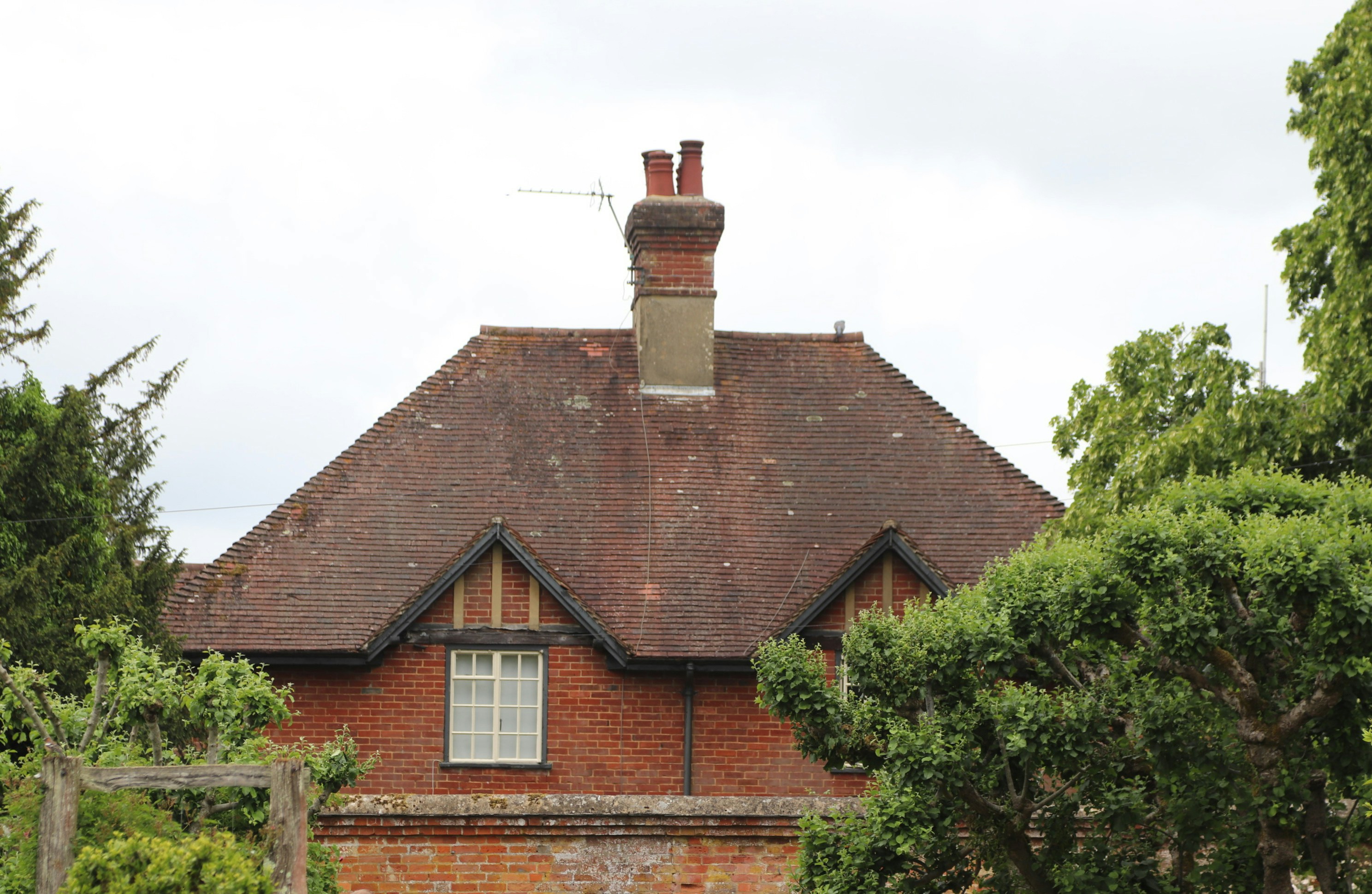 Photo by tanyabarrow