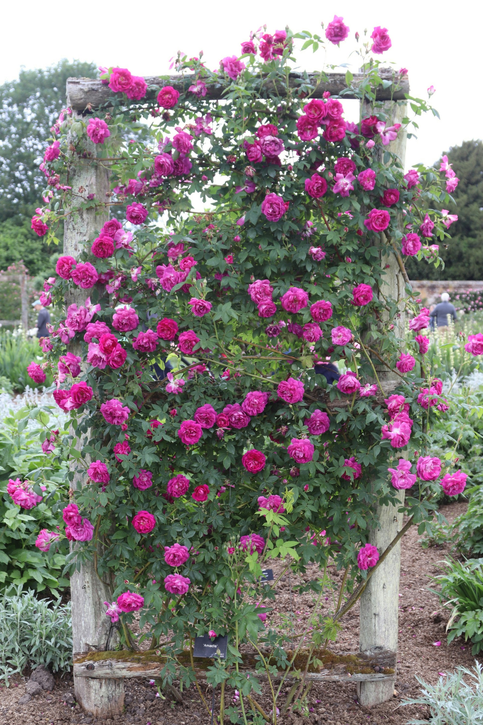 Photo by tanyabarrow