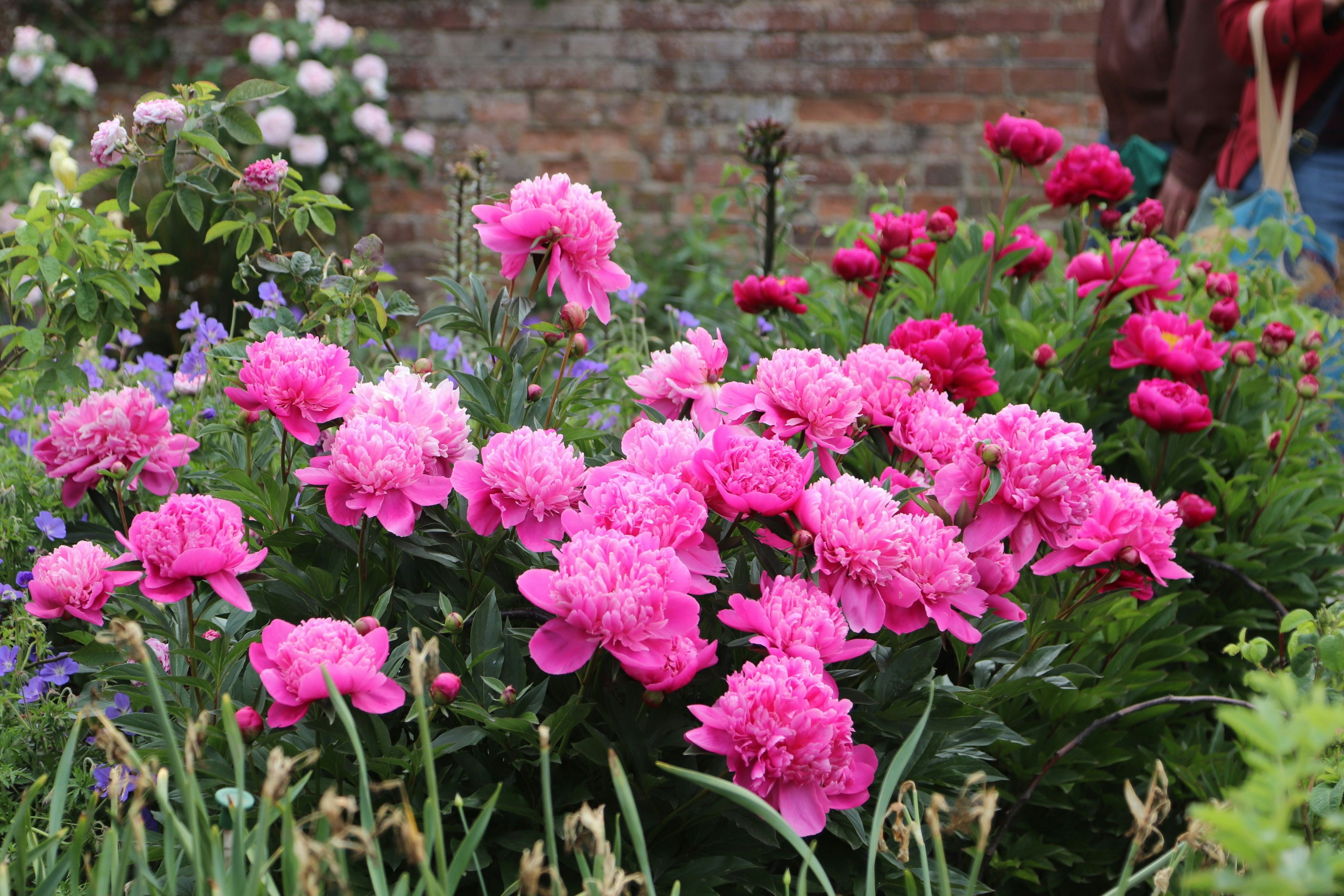 Photo by tanyabarrow