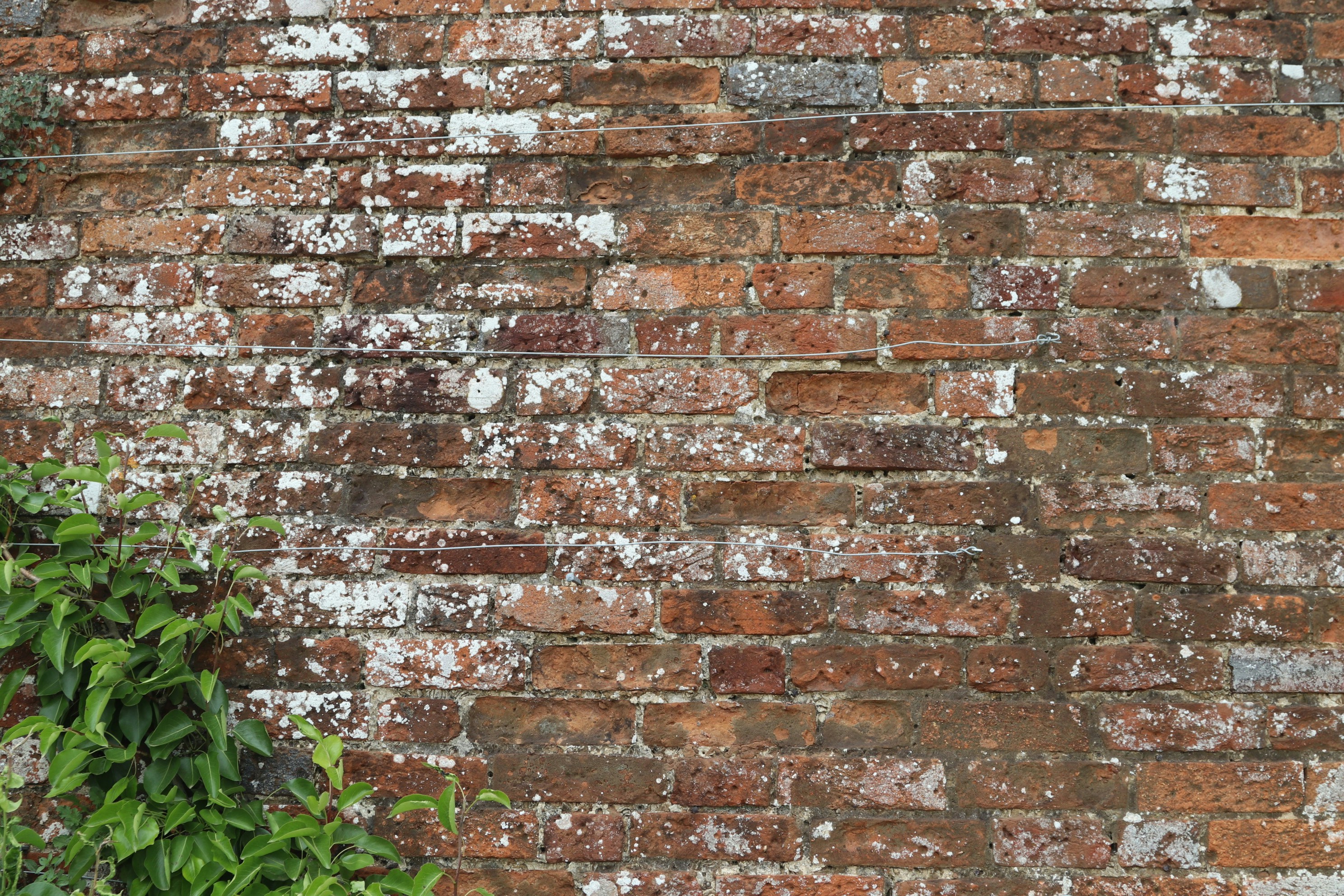 Photo by tanyabarrow