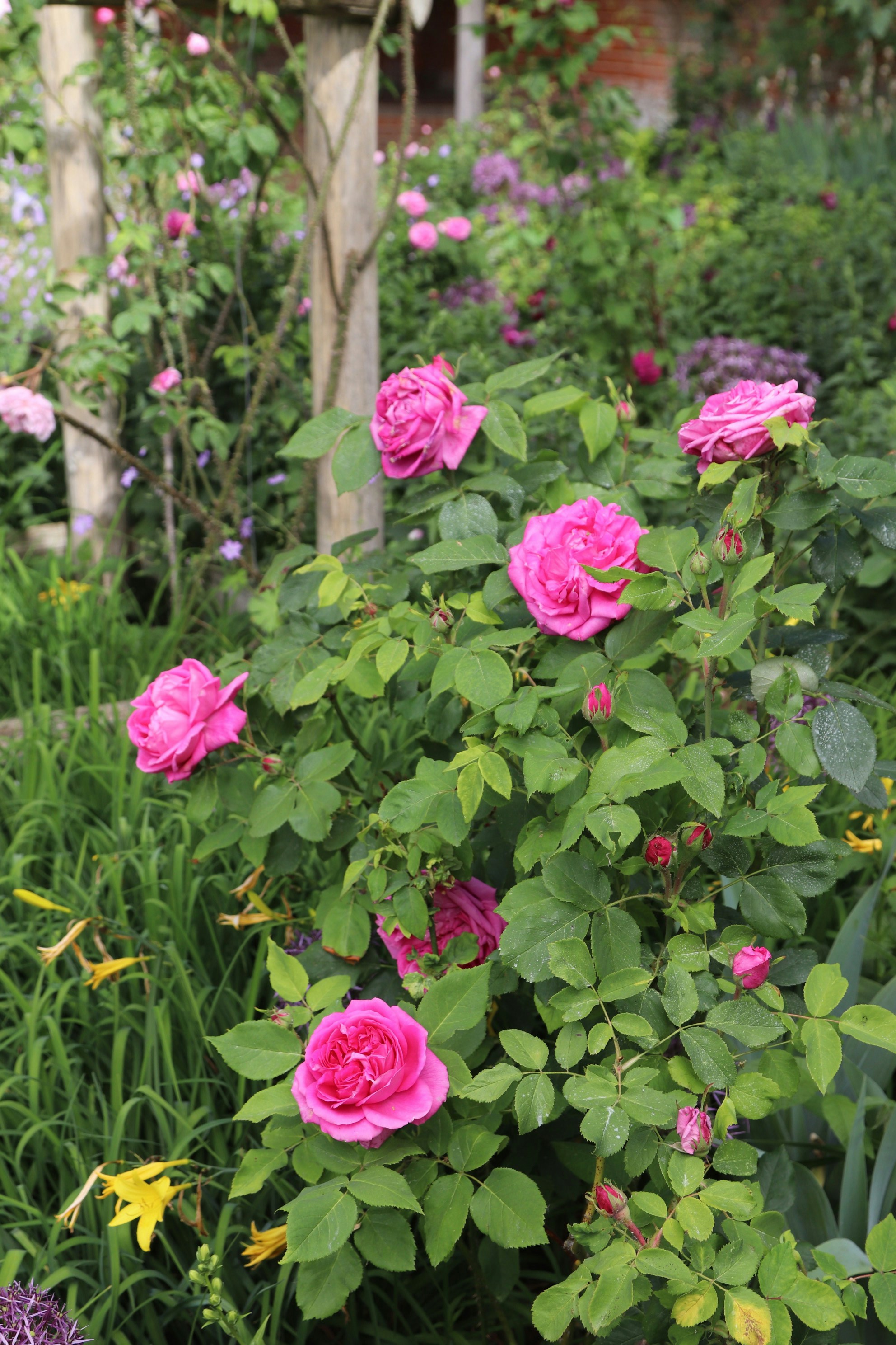 Photo by tanyabarrow