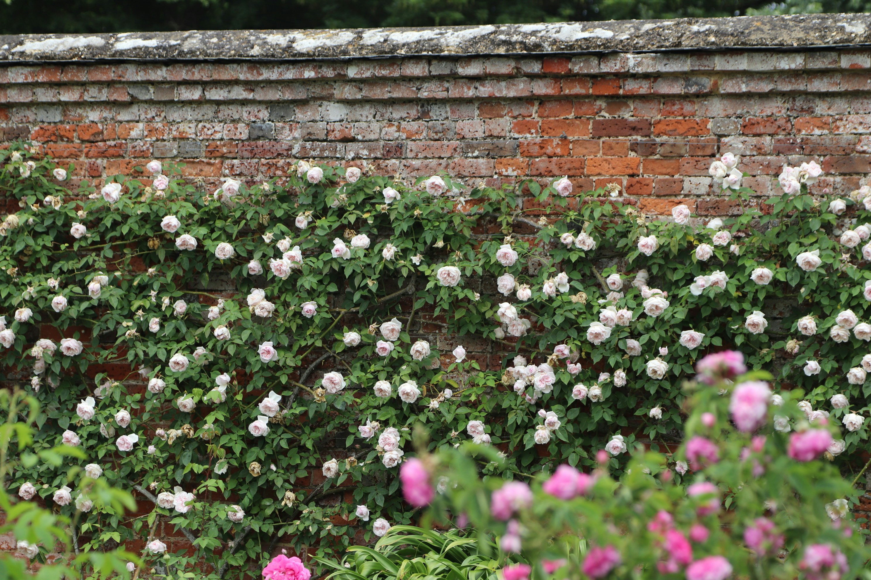 Photo by tanyabarrow