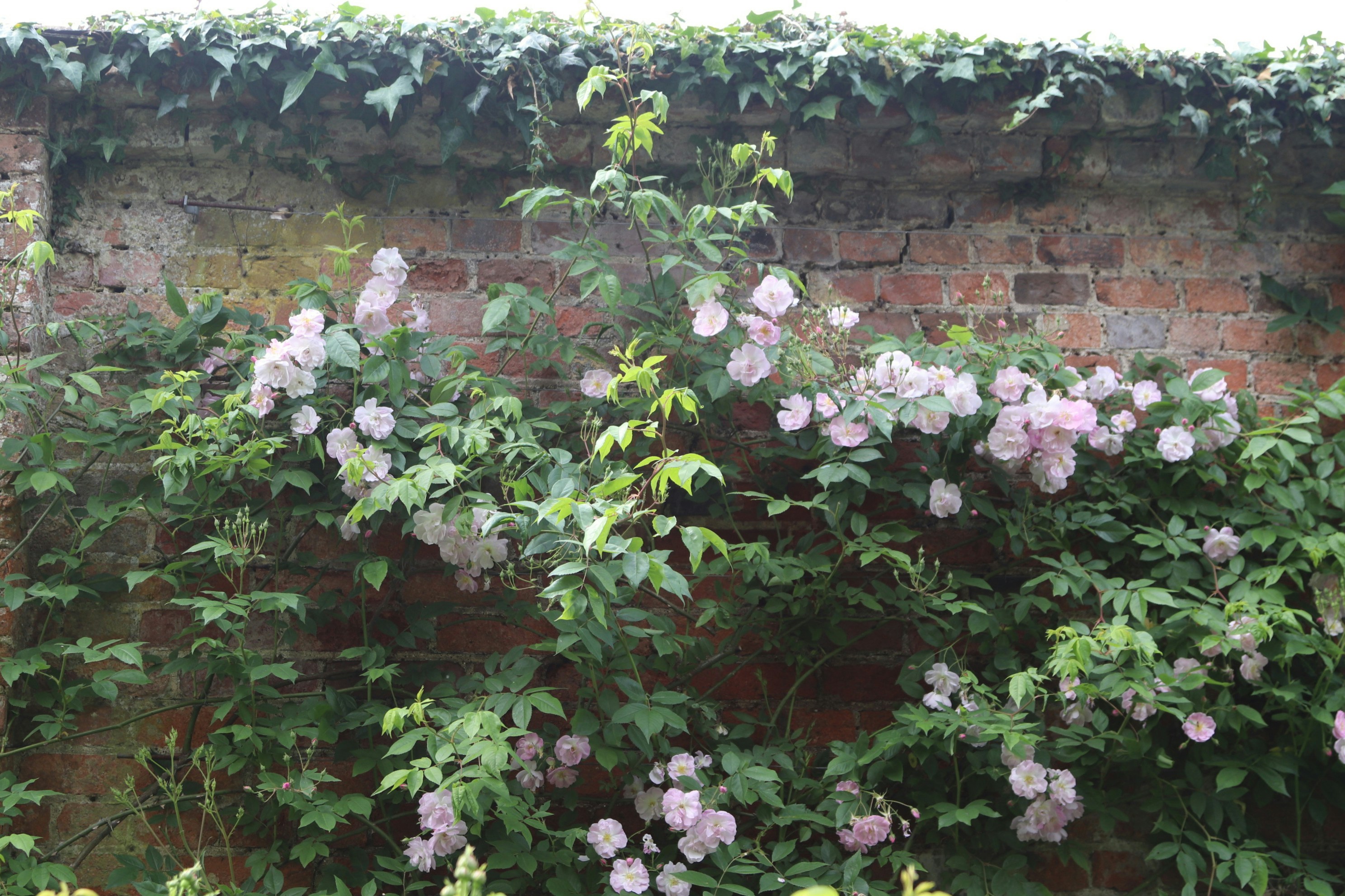 Photo by tanyabarrow