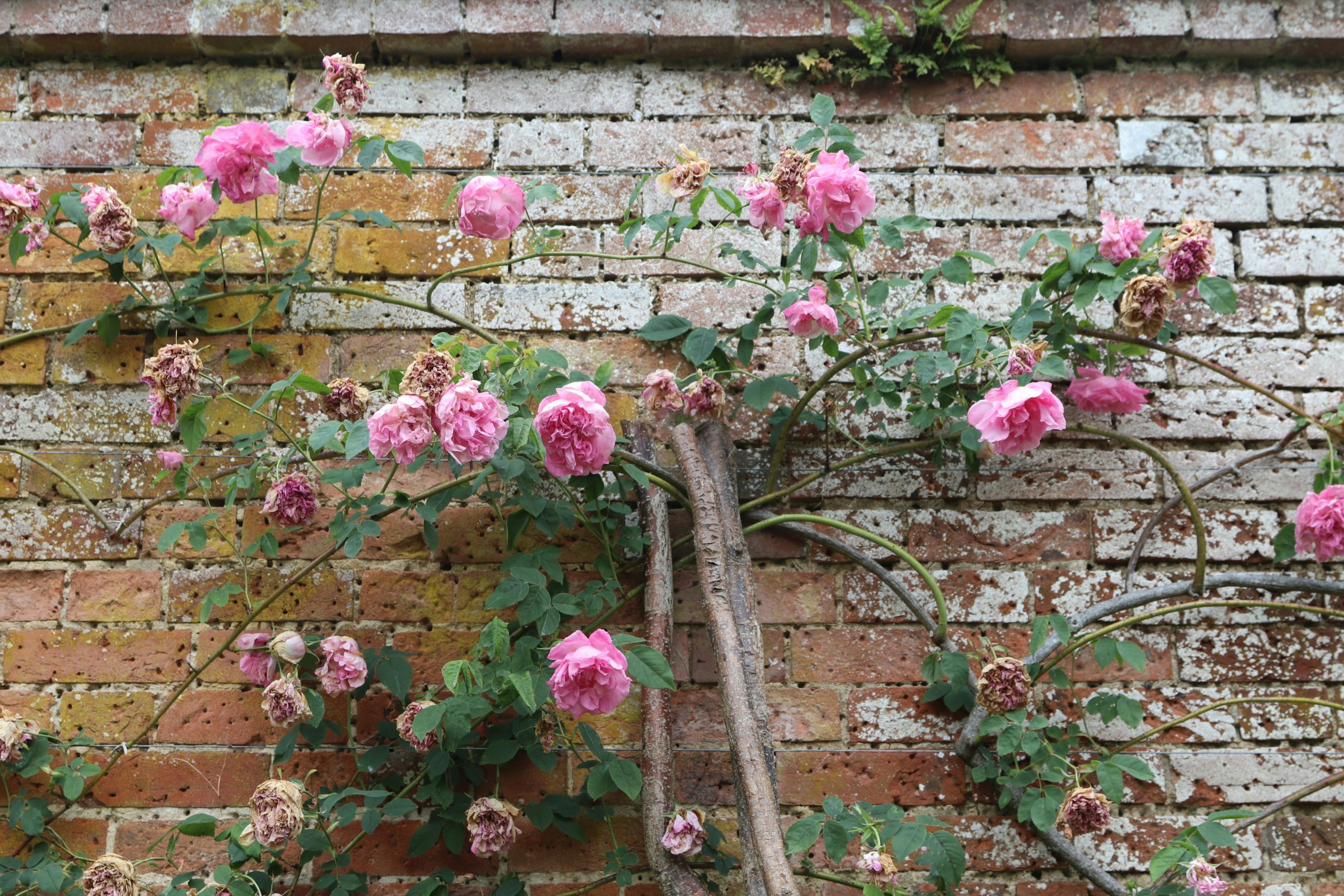 Photo by tanyabarrow