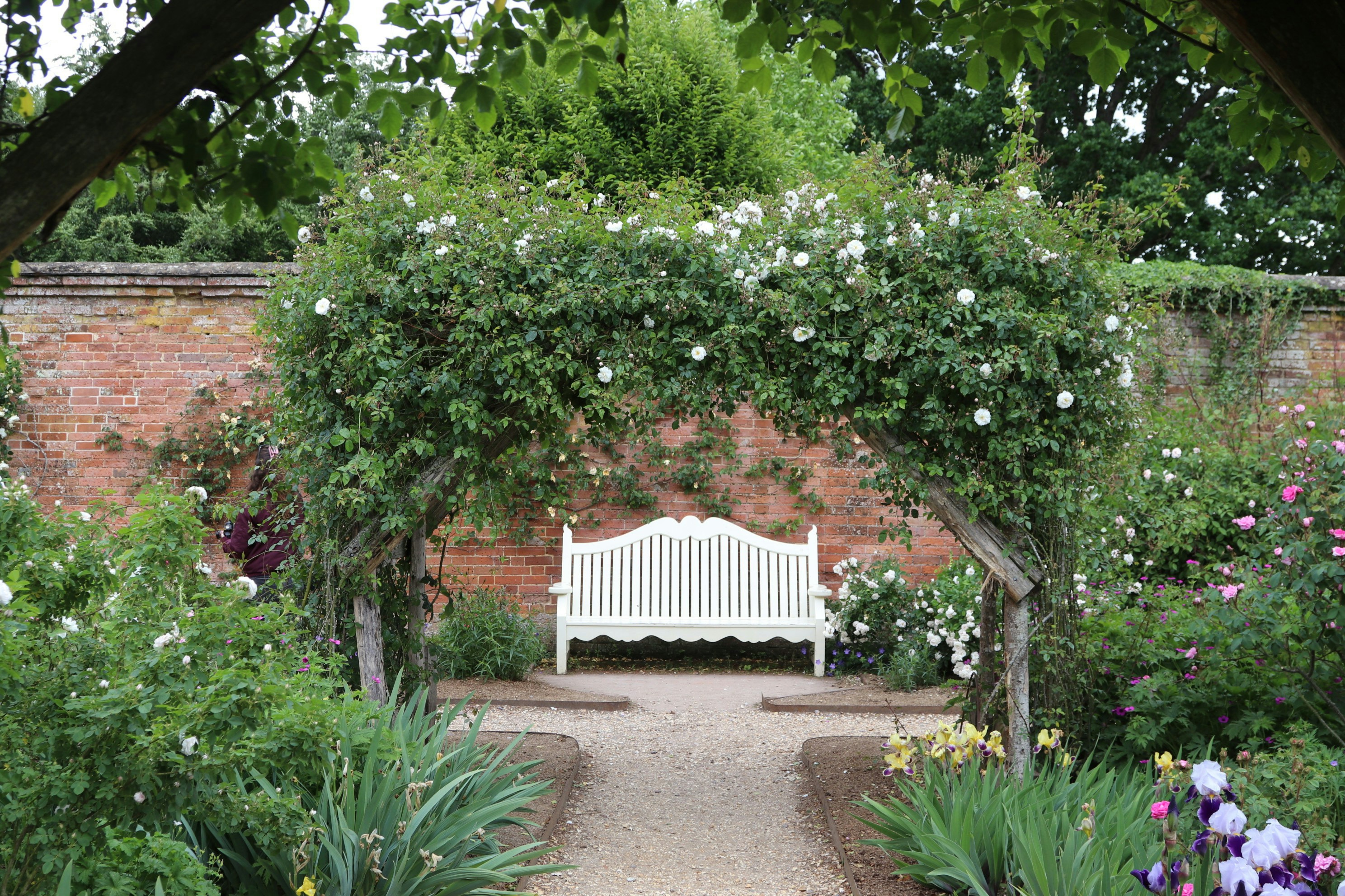 Photo by tanyabarrow