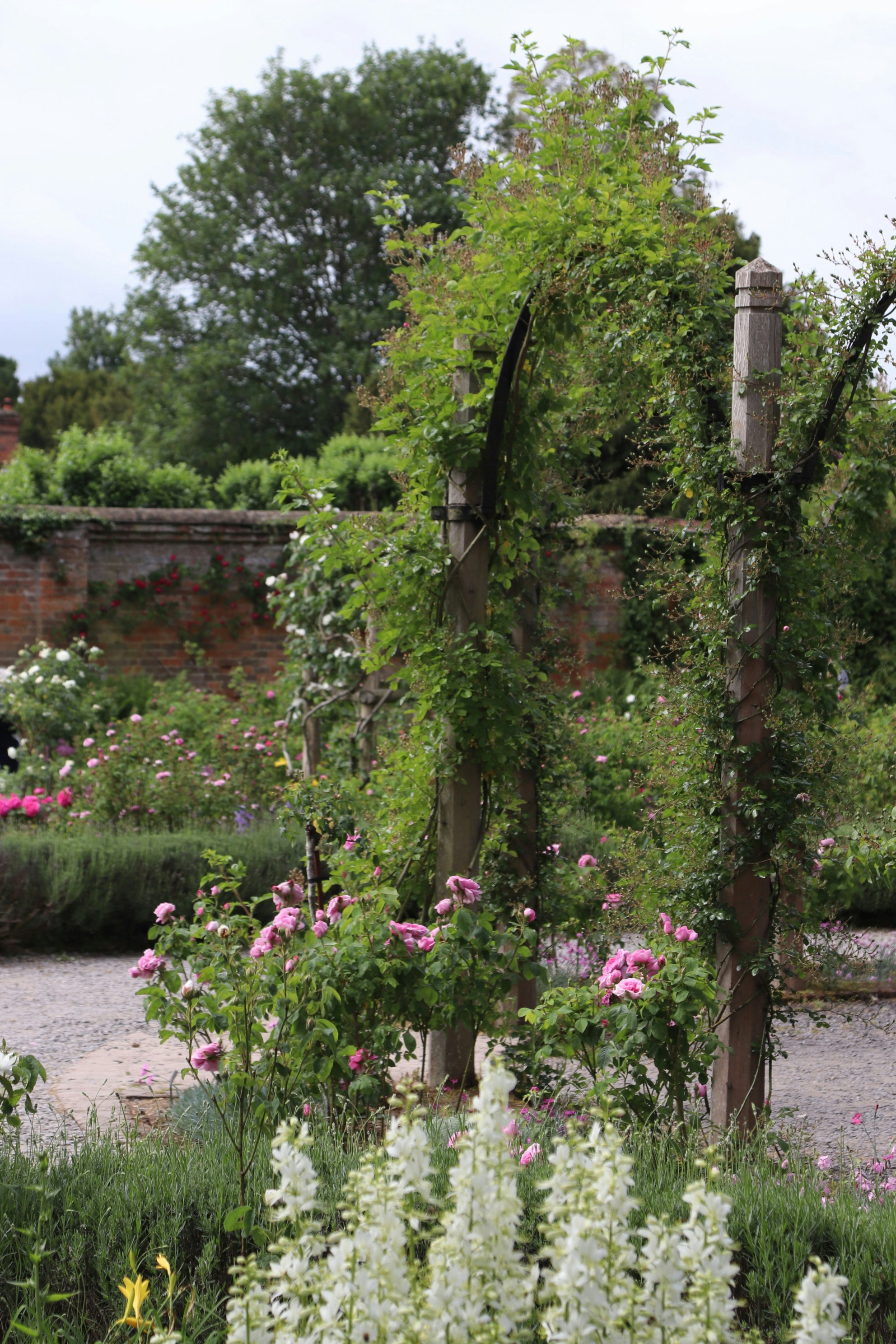 Photo by tanyabarrow