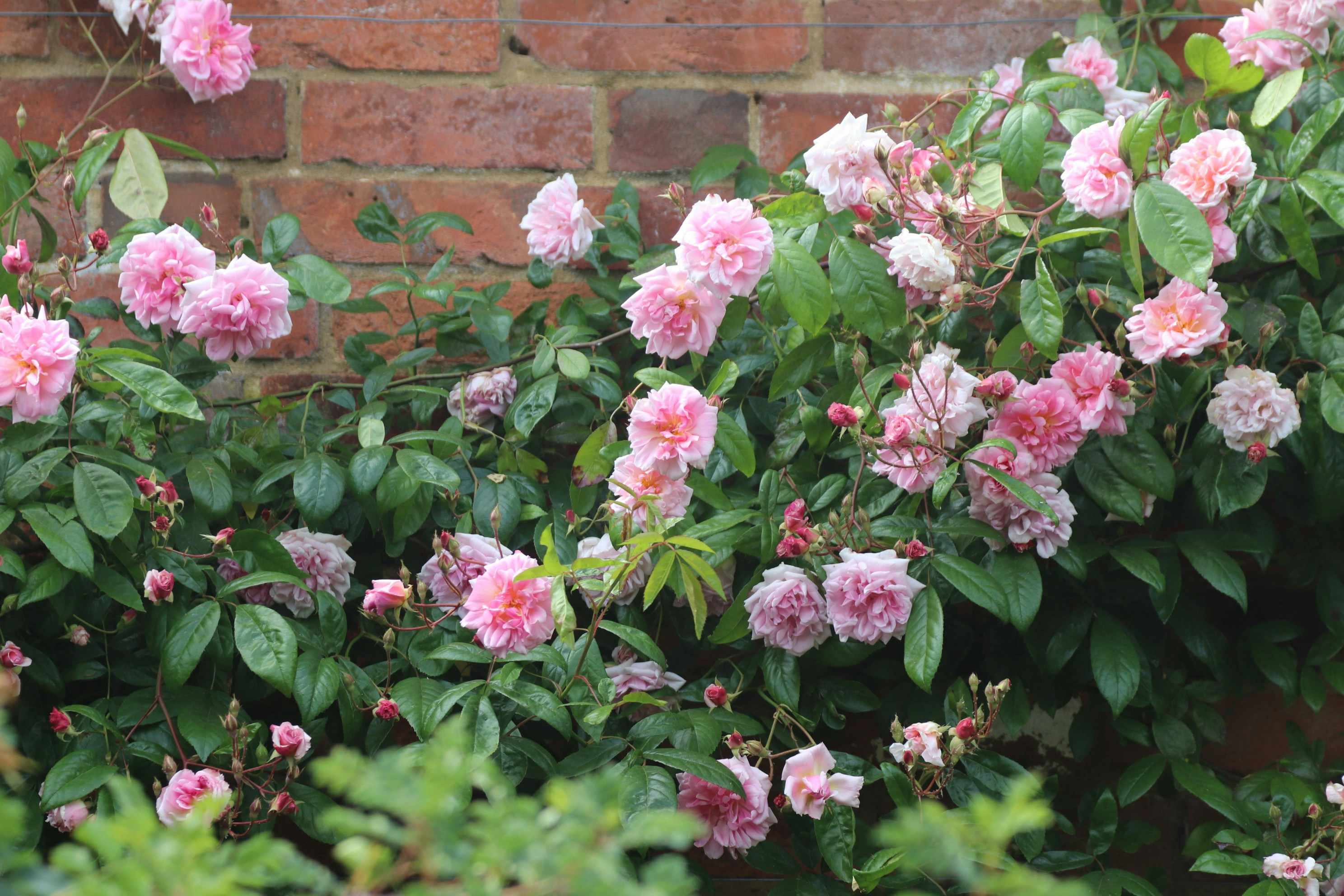 Photo by tanyabarrow