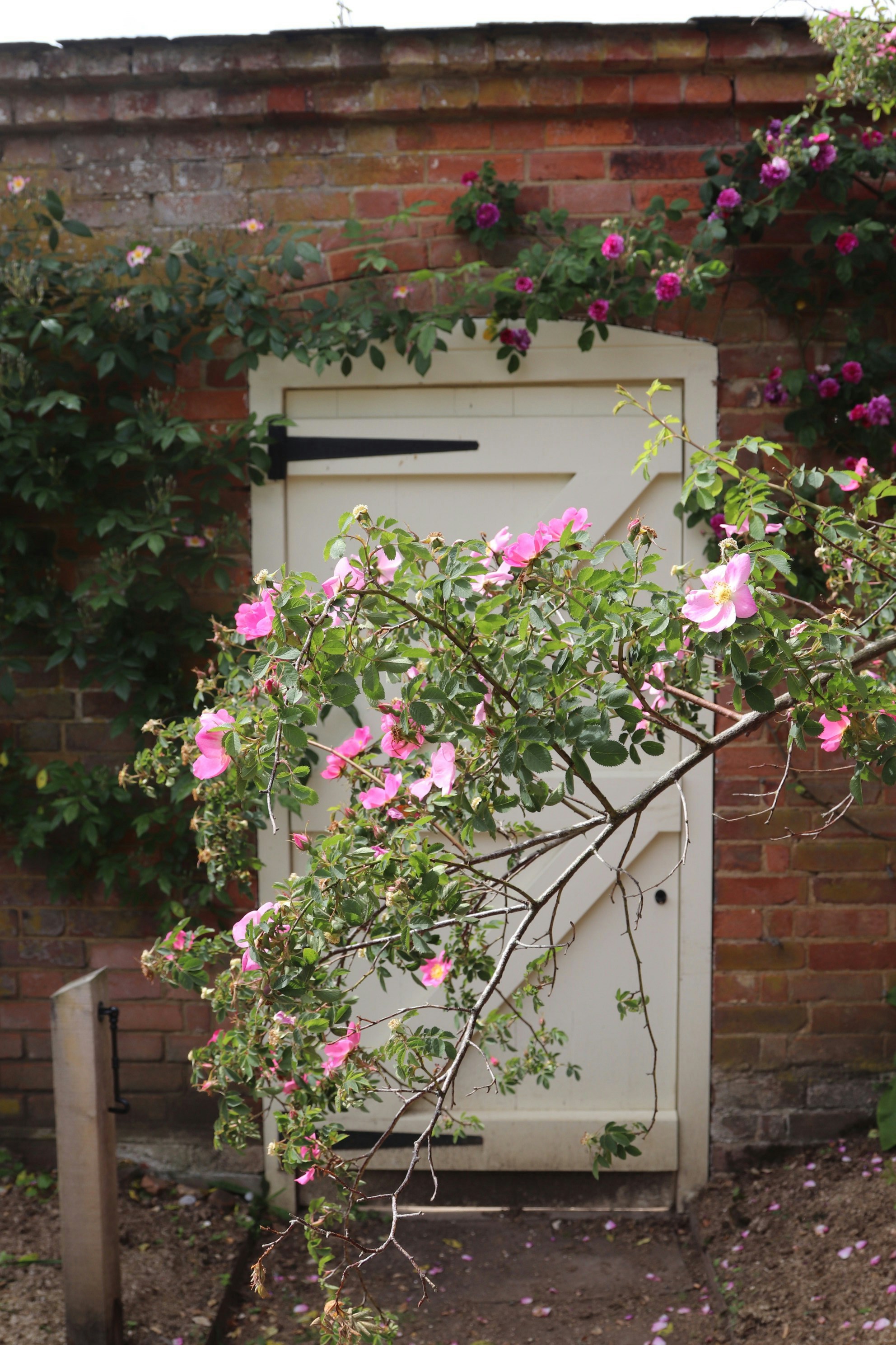 Photo by tanyabarrow