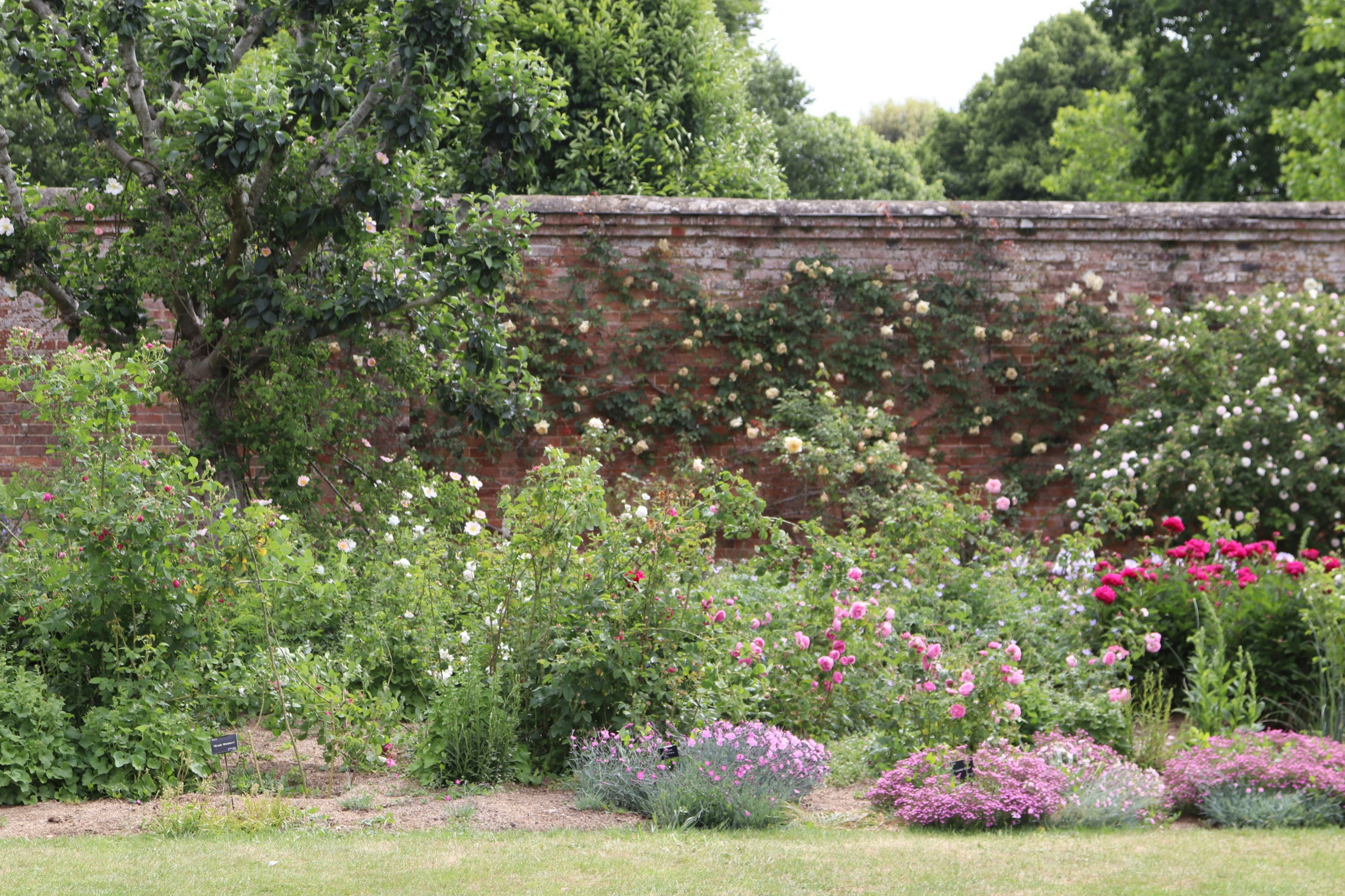 Photo by tanyabarrow