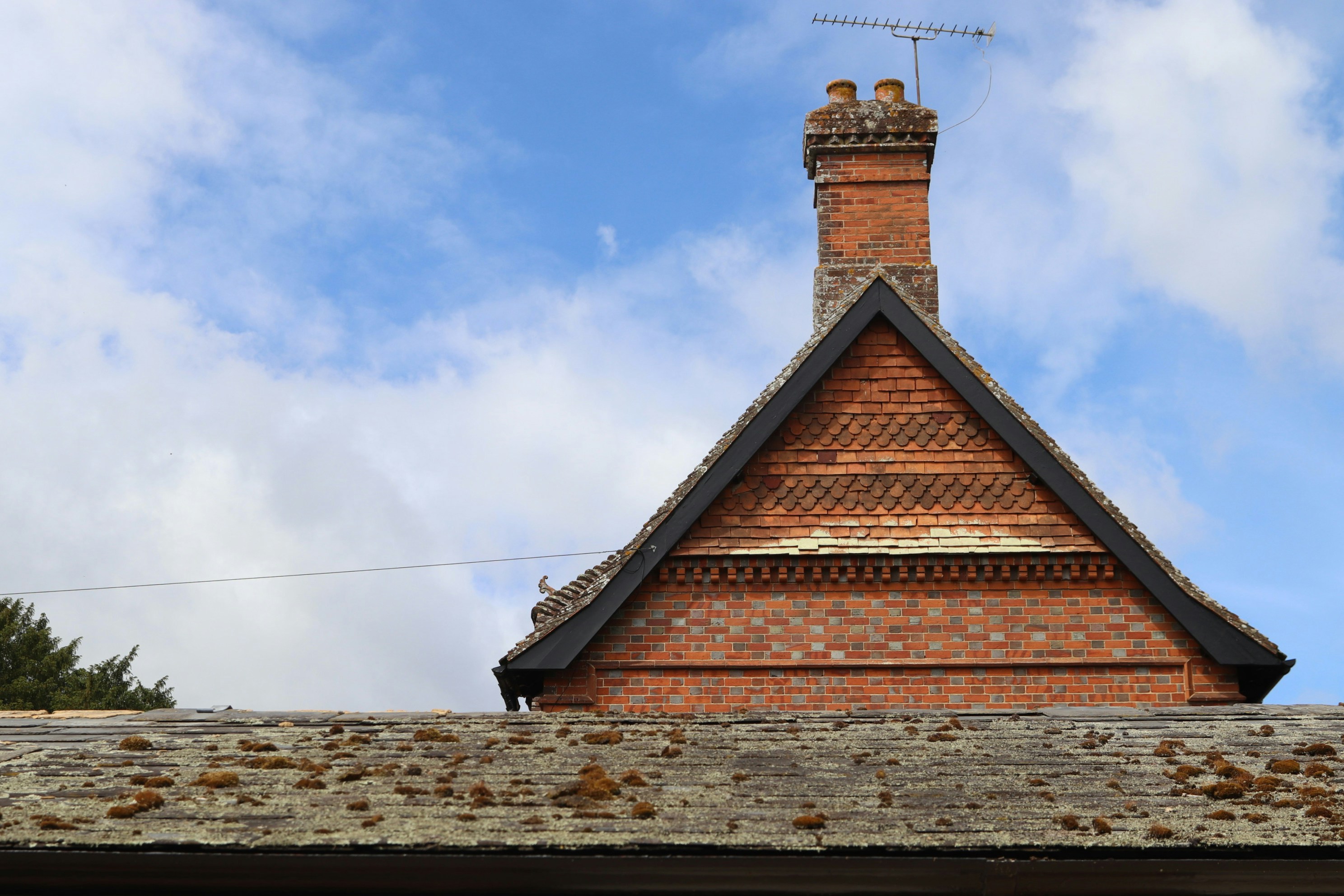 Photo by tanyabarrow