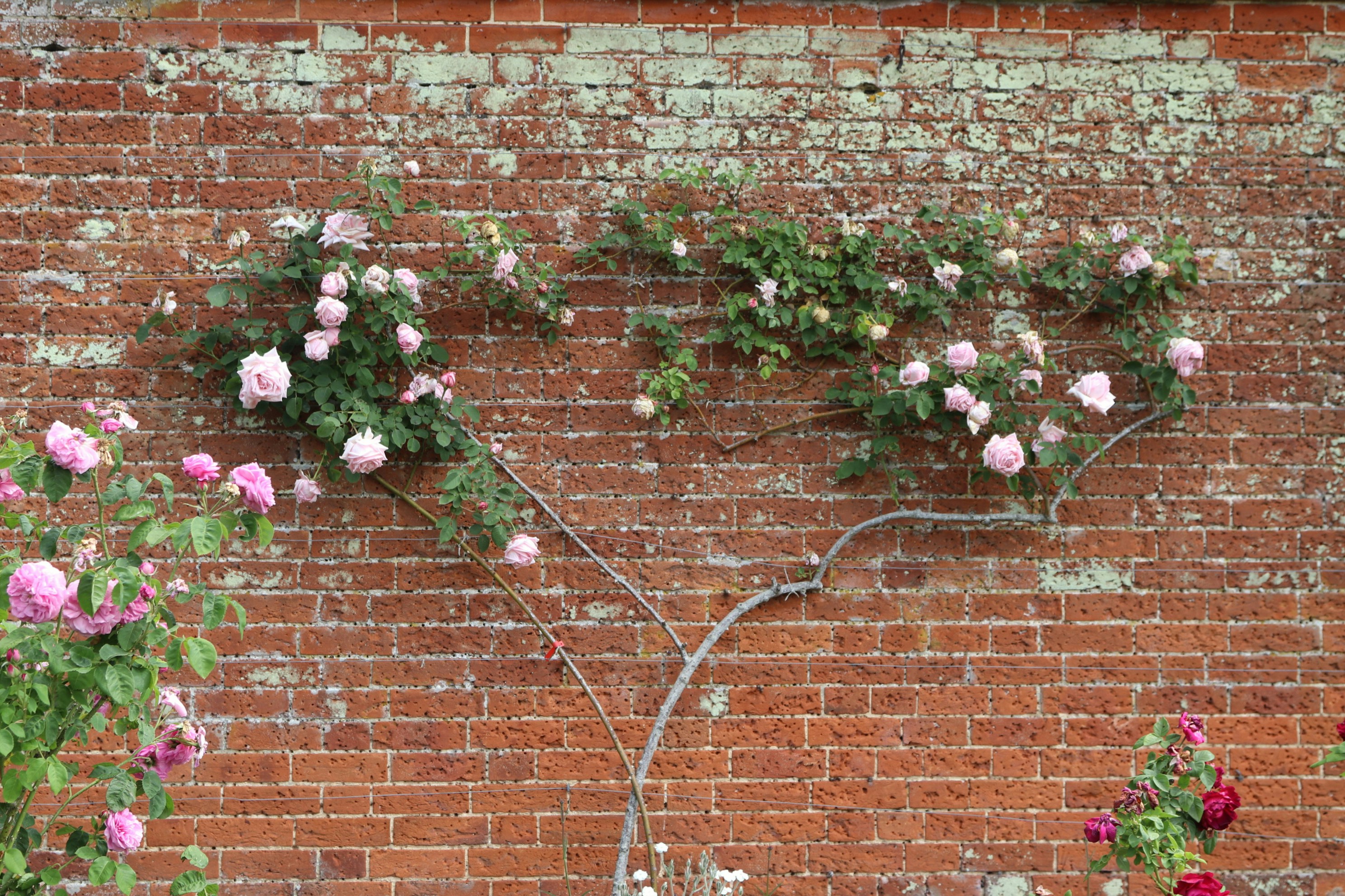 Photo by tanyabarrow