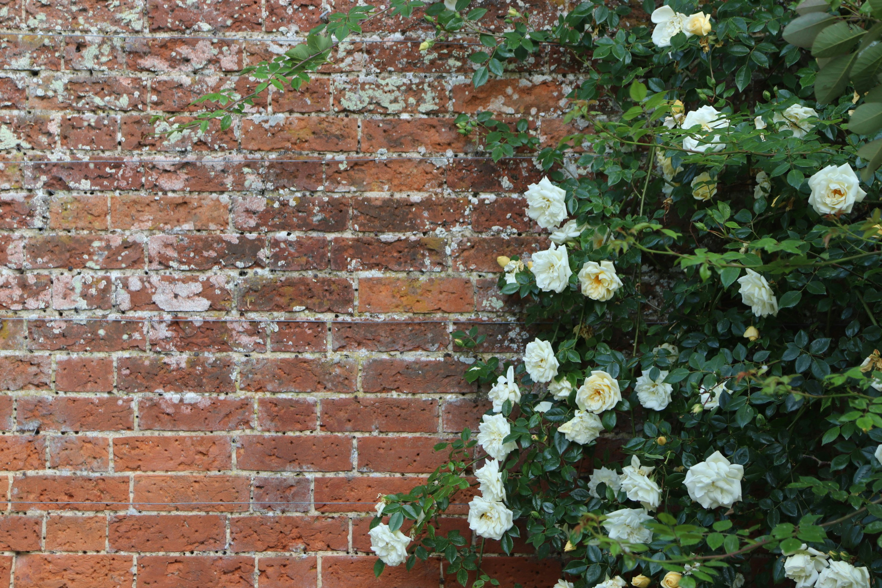 Photo by tanyabarrow