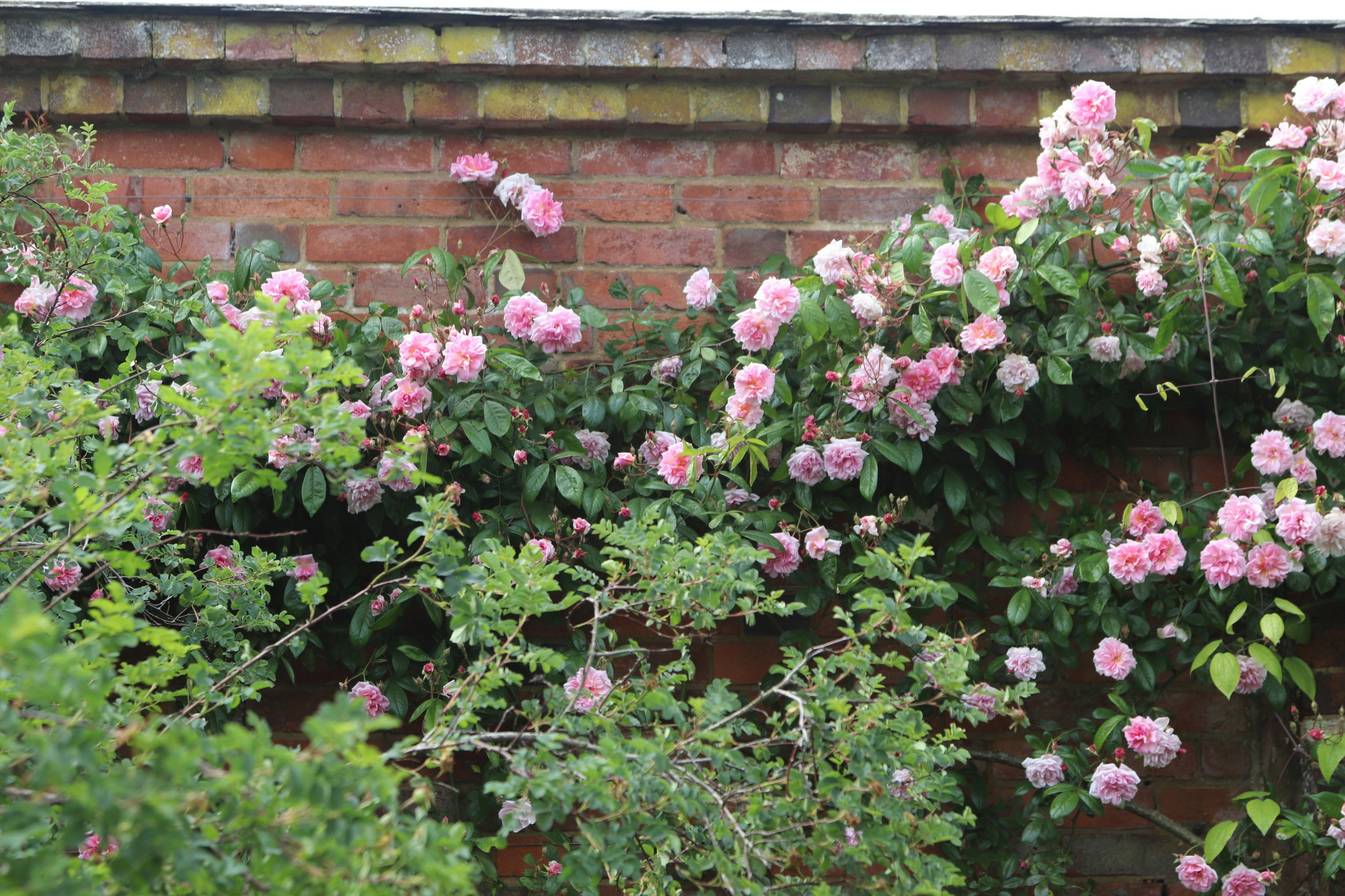 Photo by tanyabarrow