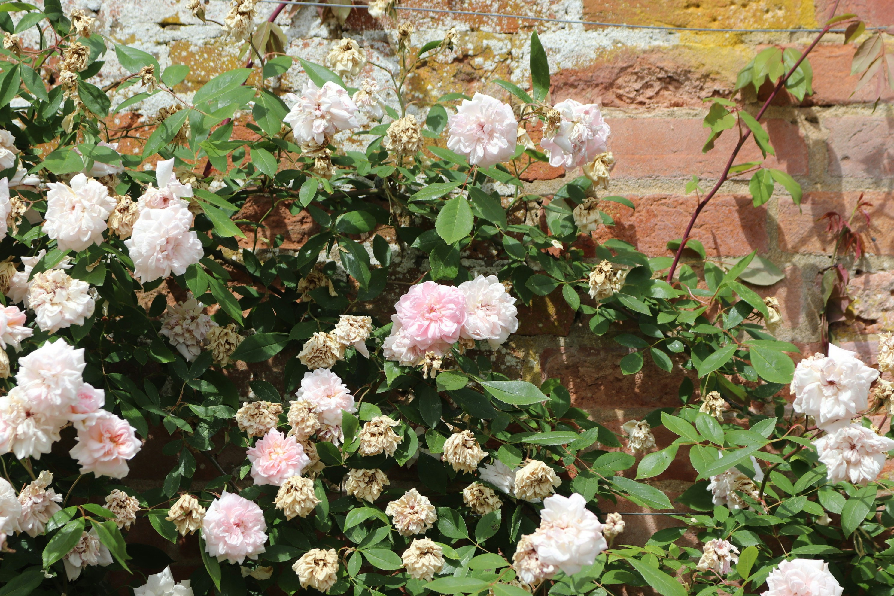 Photo by tanyabarrow