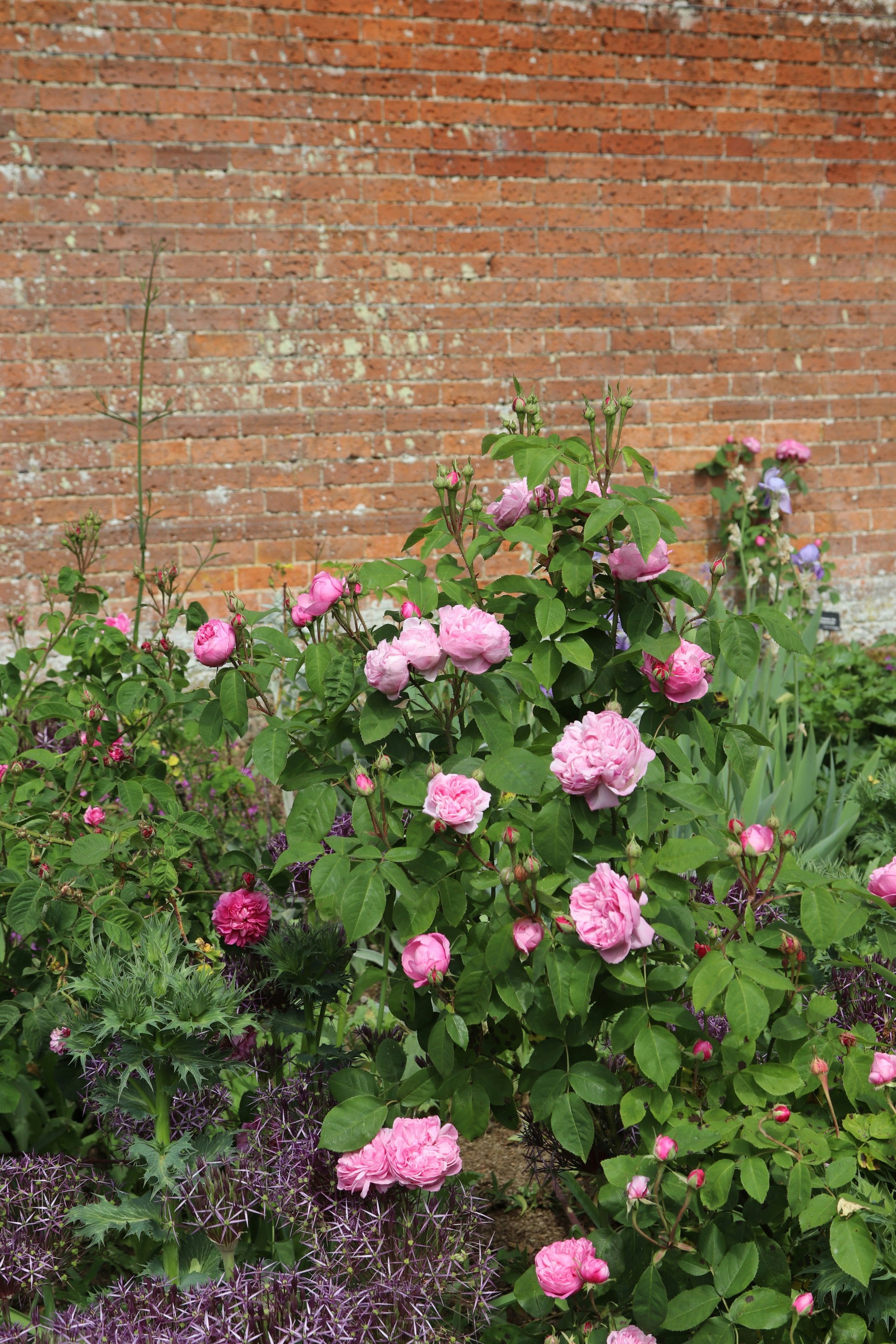 Photo by tanyabarrow