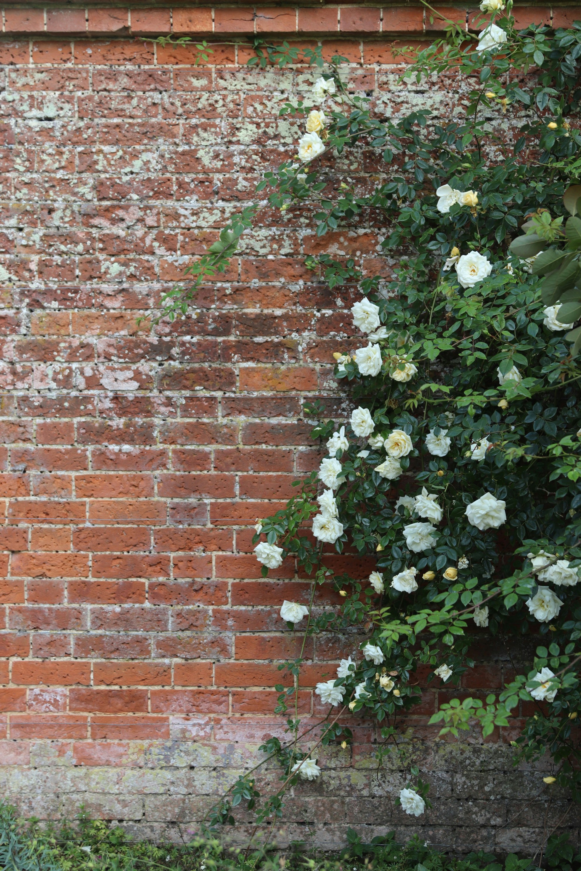 Photo by tanyabarrow