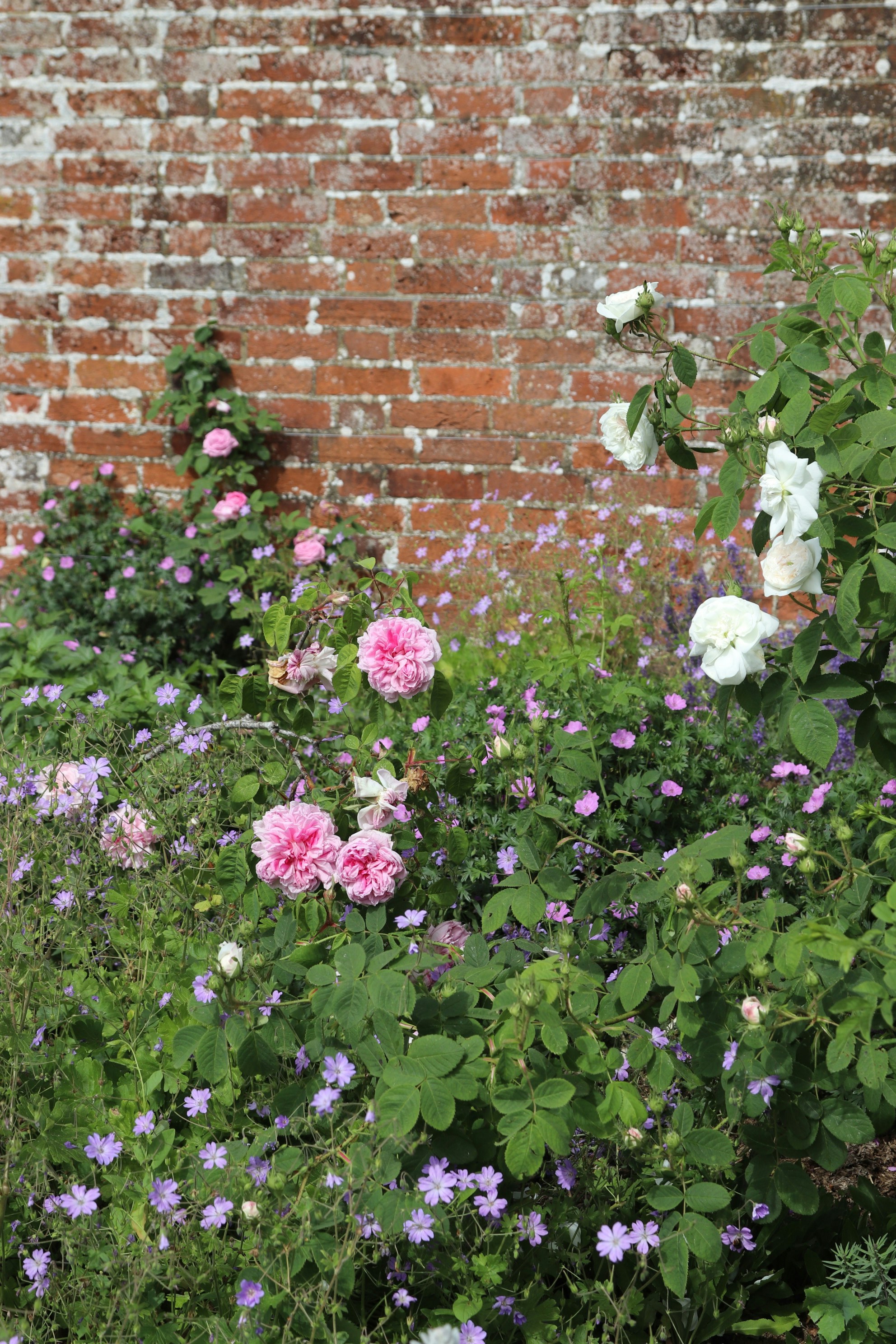 Photo by tanyabarrow