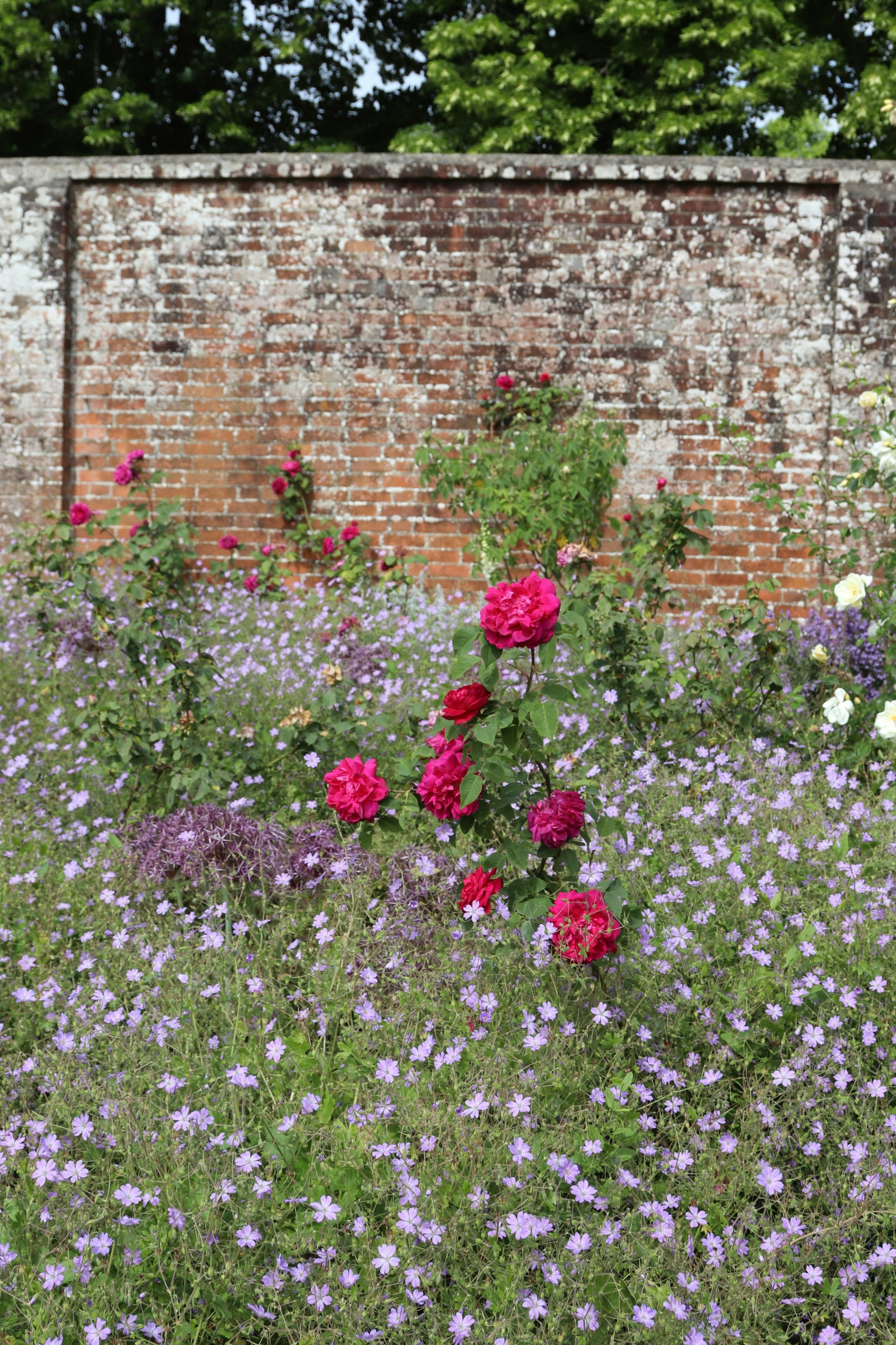 Photo by tanyabarrow