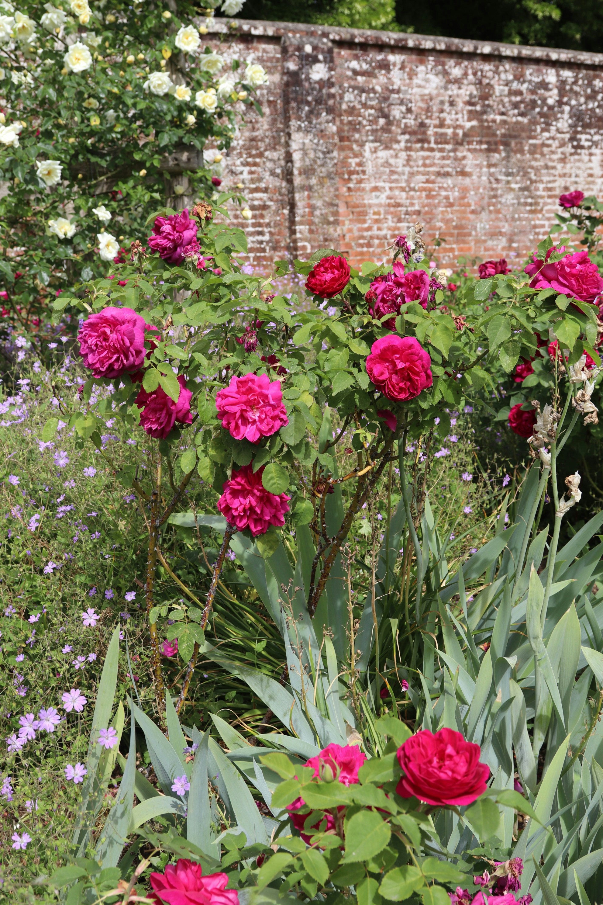 Photo by tanyabarrow