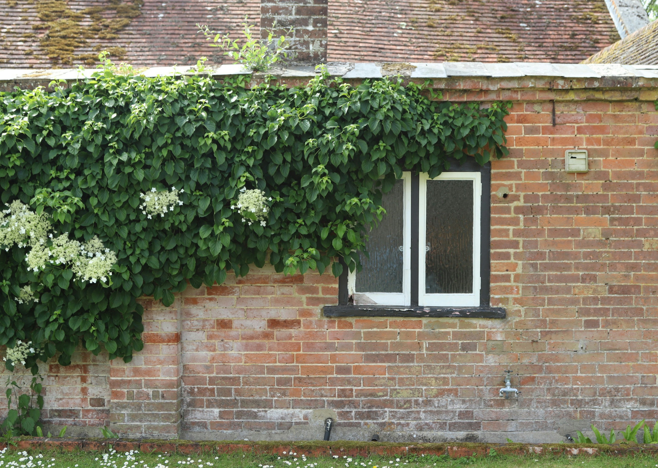 Photo by tanyabarrow