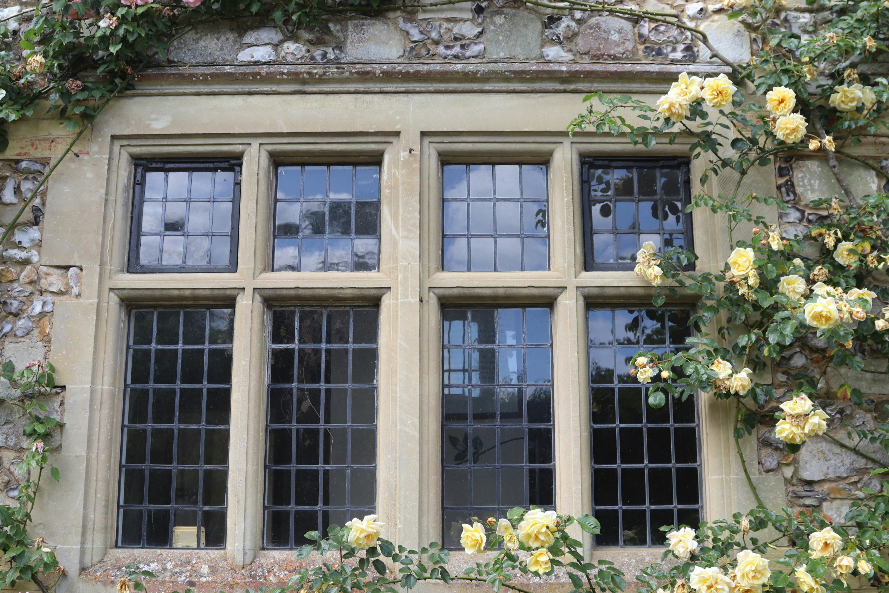 Photo by tanyabarrow