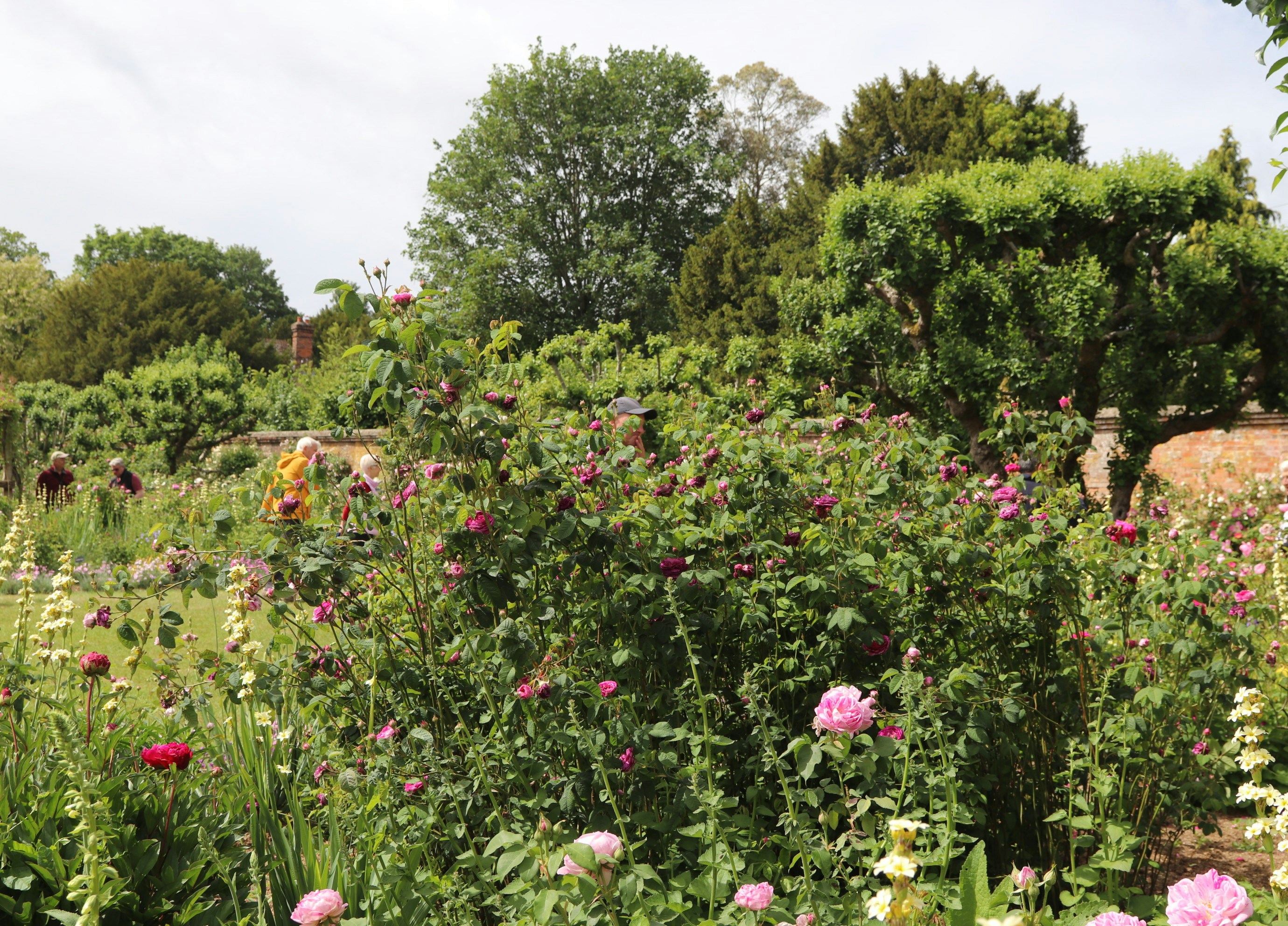 Photo by tanyabarrow