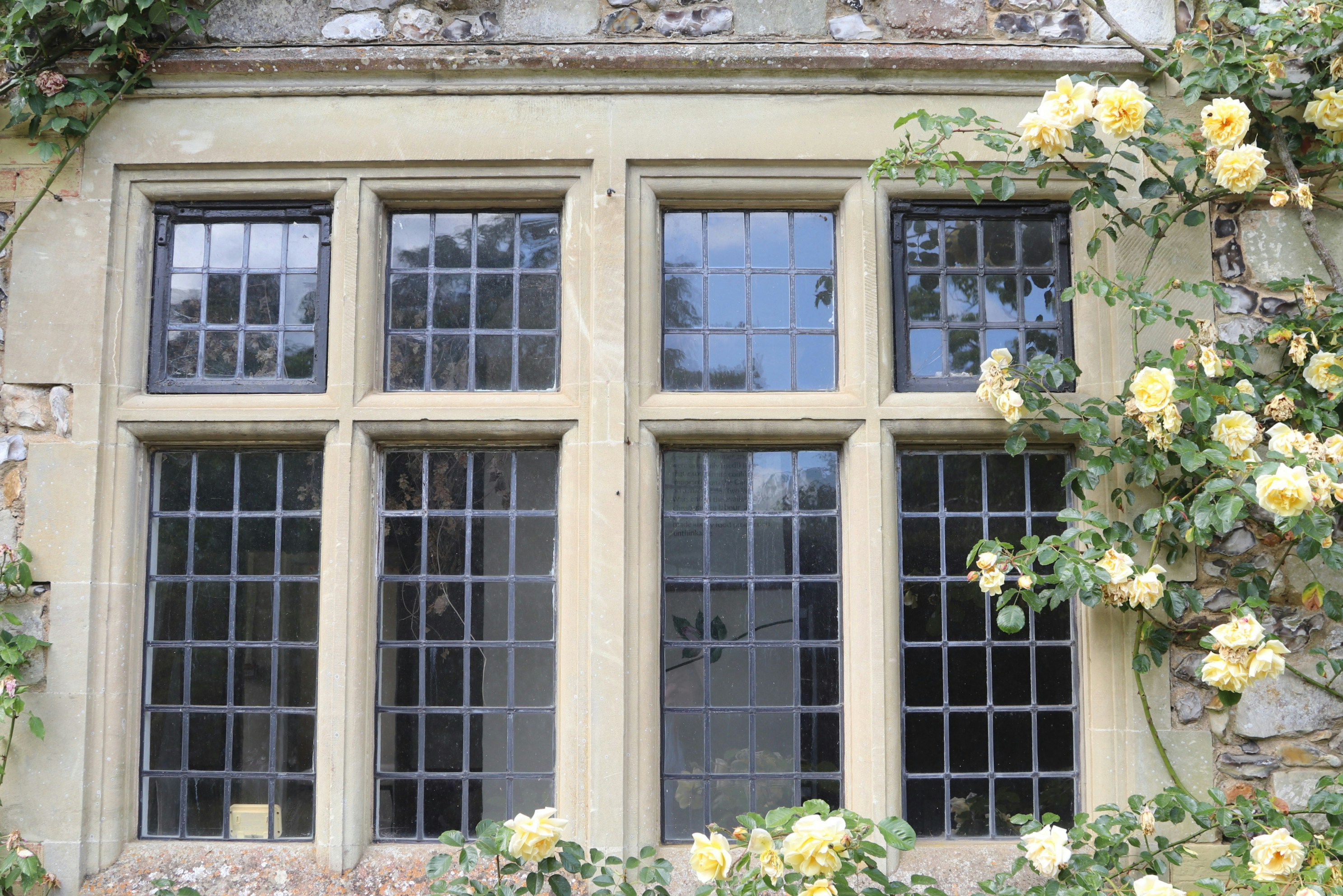 Photo by tanyabarrow