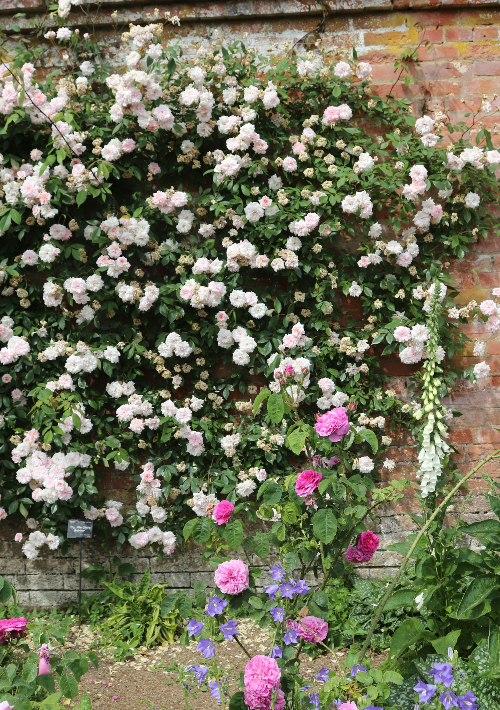 Photo by tanyabarrow